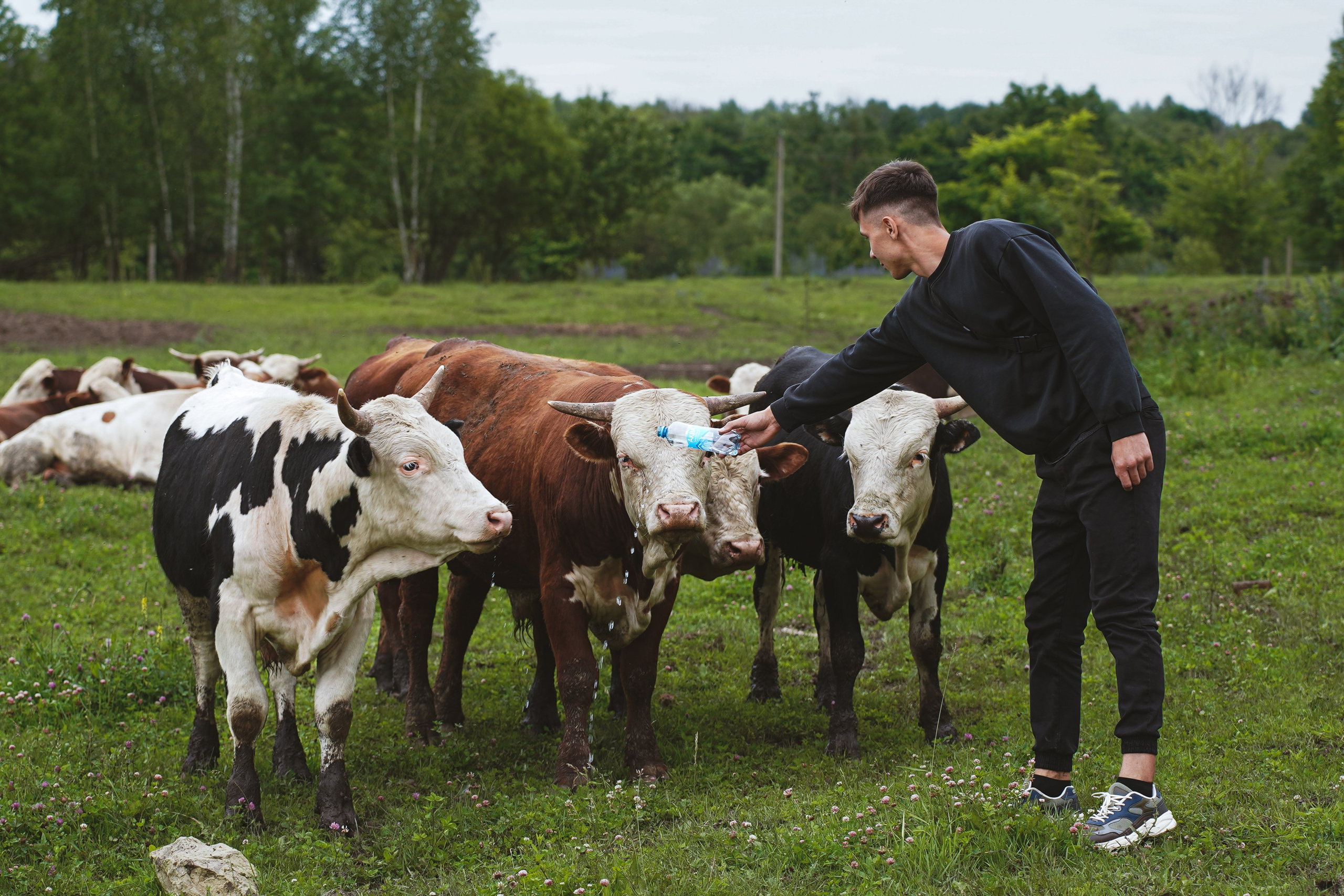 MOTHER EARTH. Фотограф и визуальный художник в Туле / Николай Рейзвих