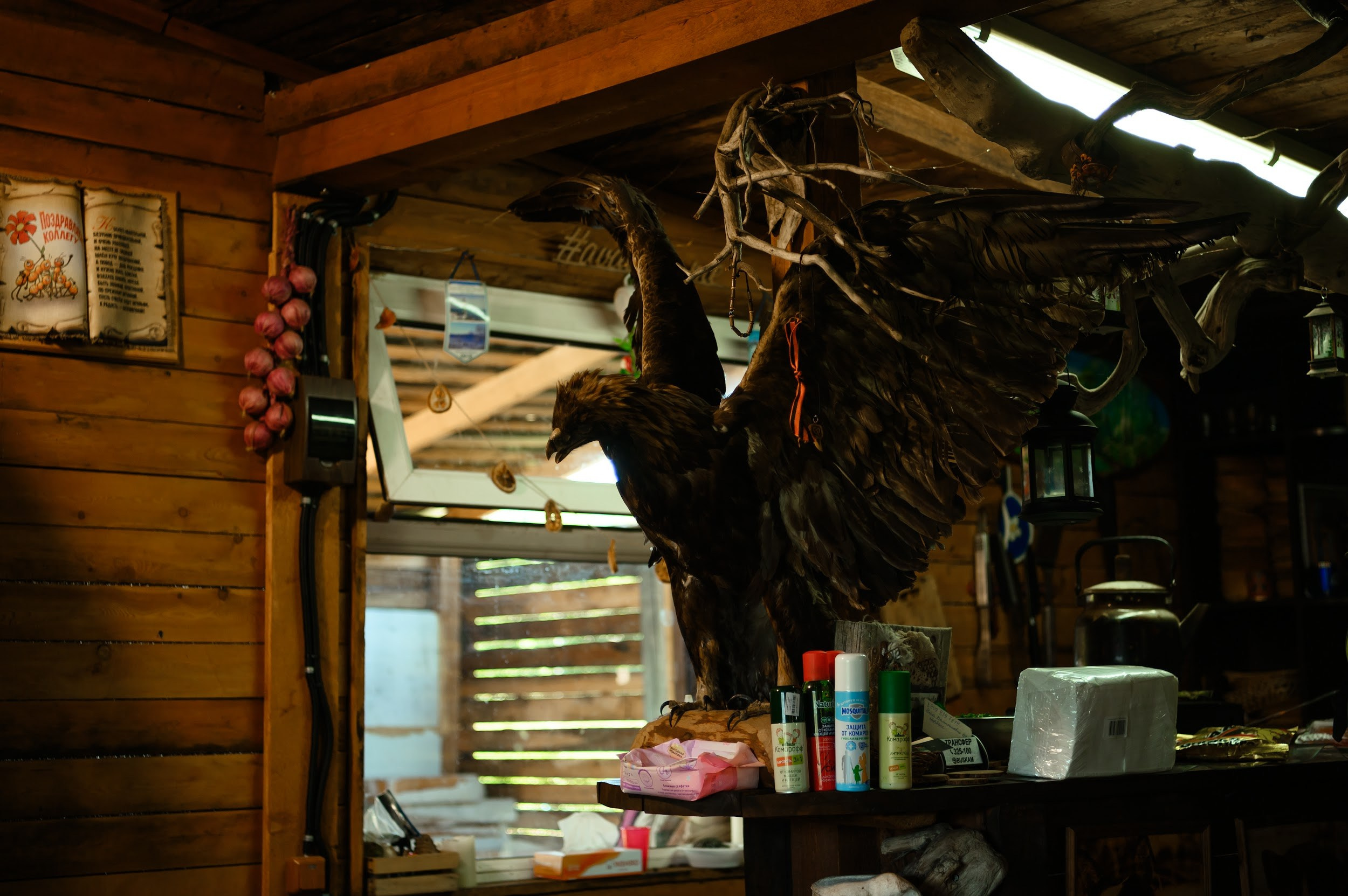 Камчатка 08.2024. Фотограф Марина Росси