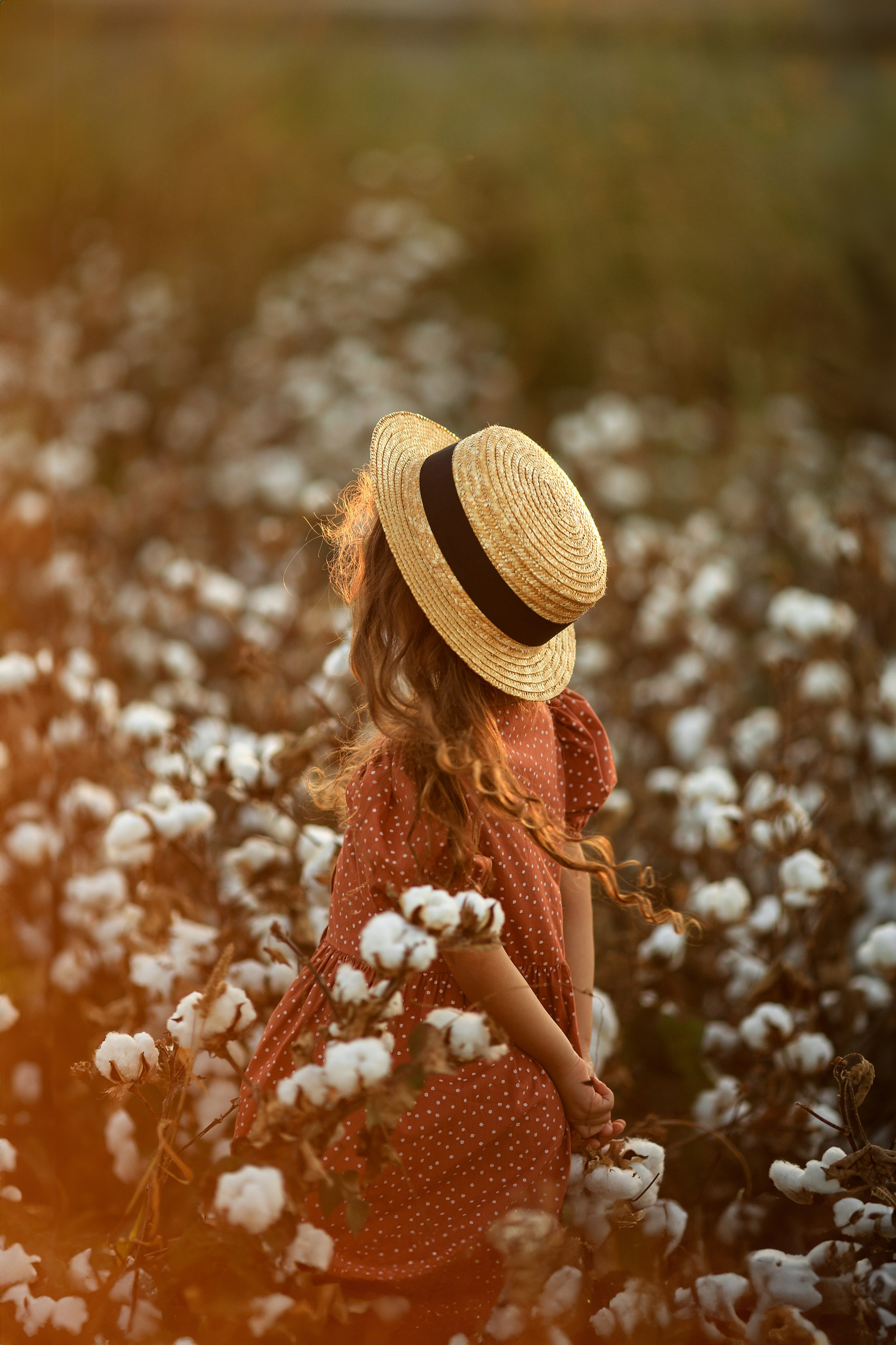 Photoshooting on cotton field