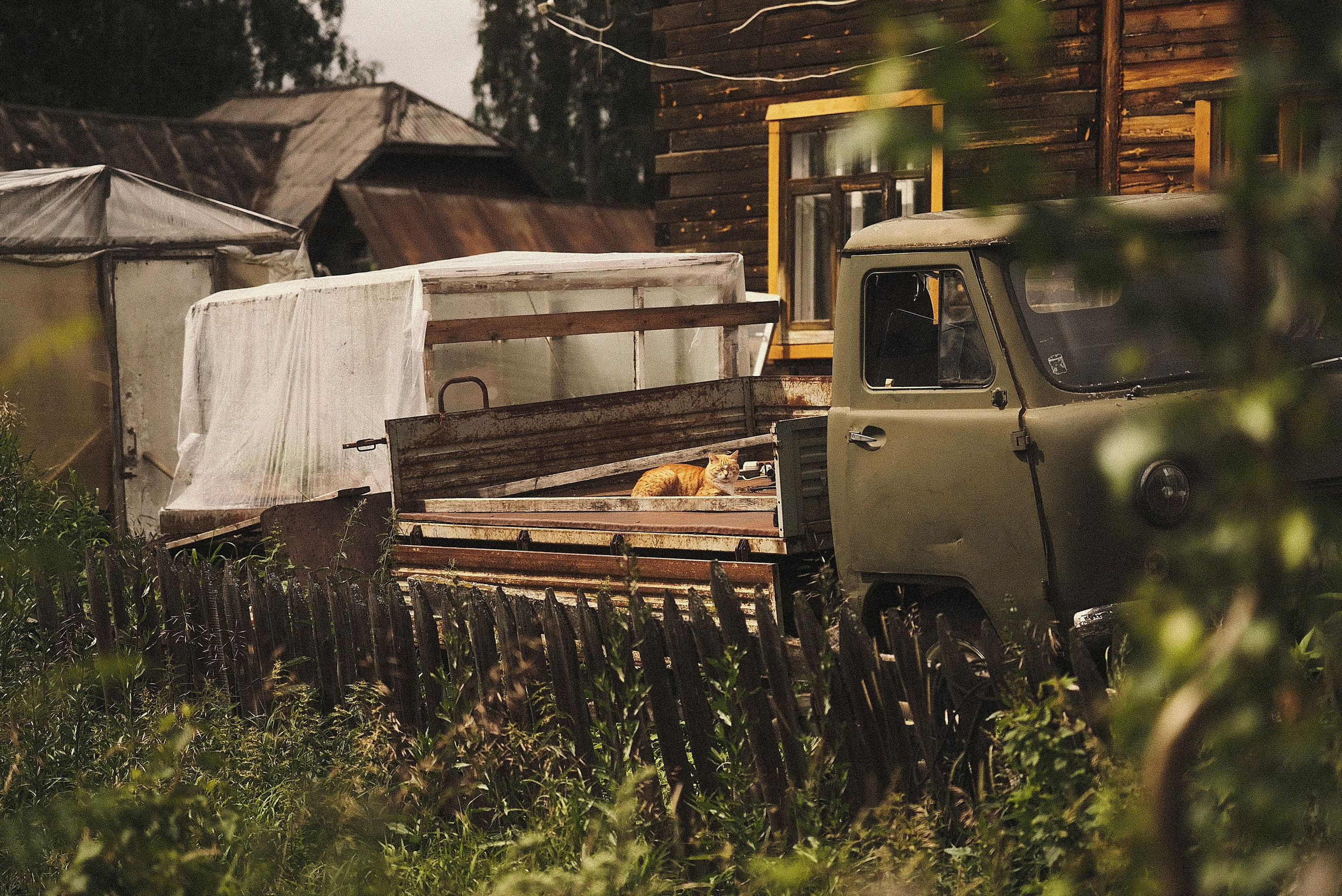 Стрит-фотография Сыктывкар. Фотограф-любитель из Кирова Андрей Погребняк
