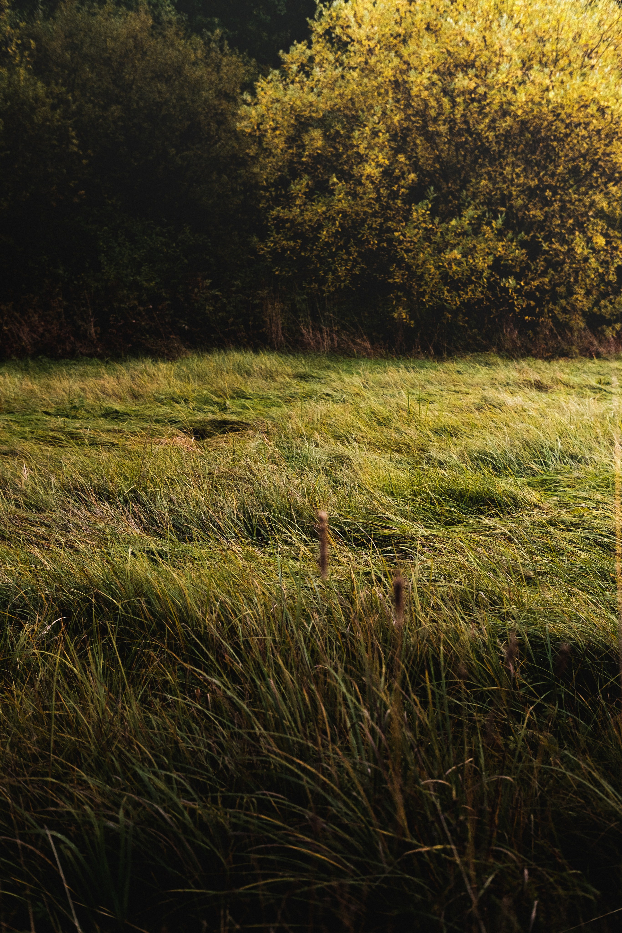 Пейзажи. Фотограф-любитель из Кирова Андрей Погребняк