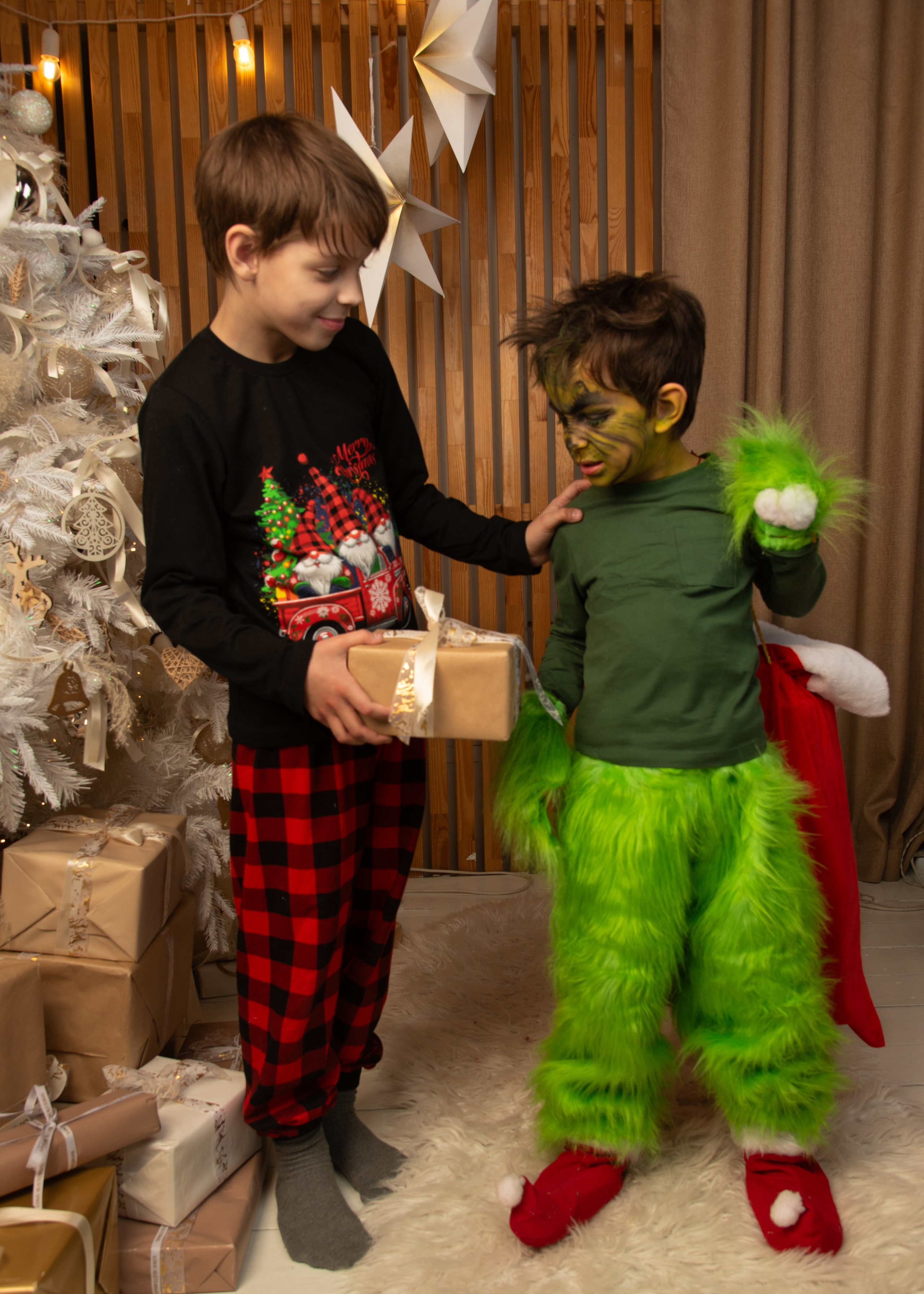 Новый Год. Гринч. Портретный Семейный Fine-Art фотограф в Санкт-Петербурге Криулина