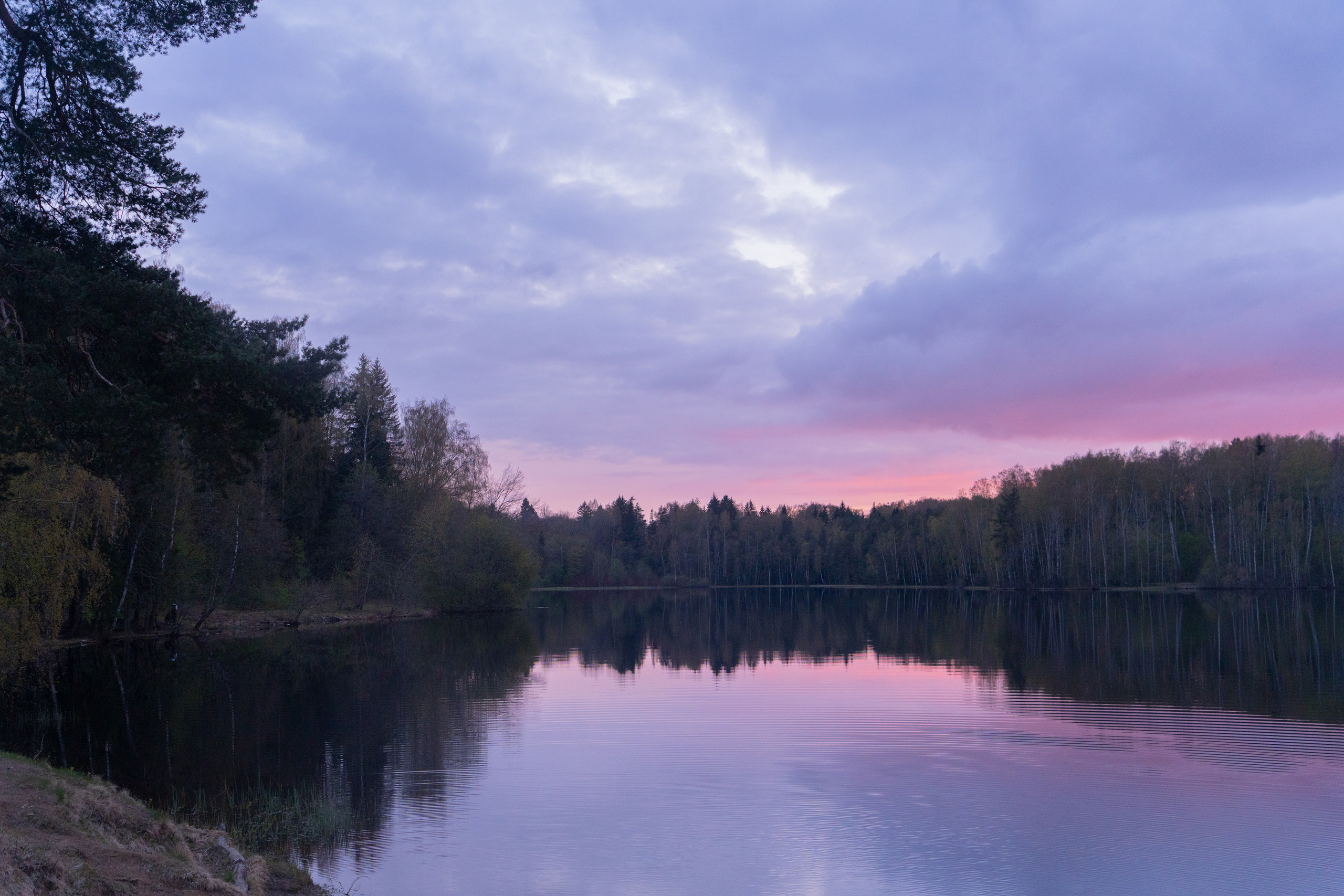 Евгения и Берта. Фотограф анималист в Москве и Санкт-Петербурге Свиридова Анна