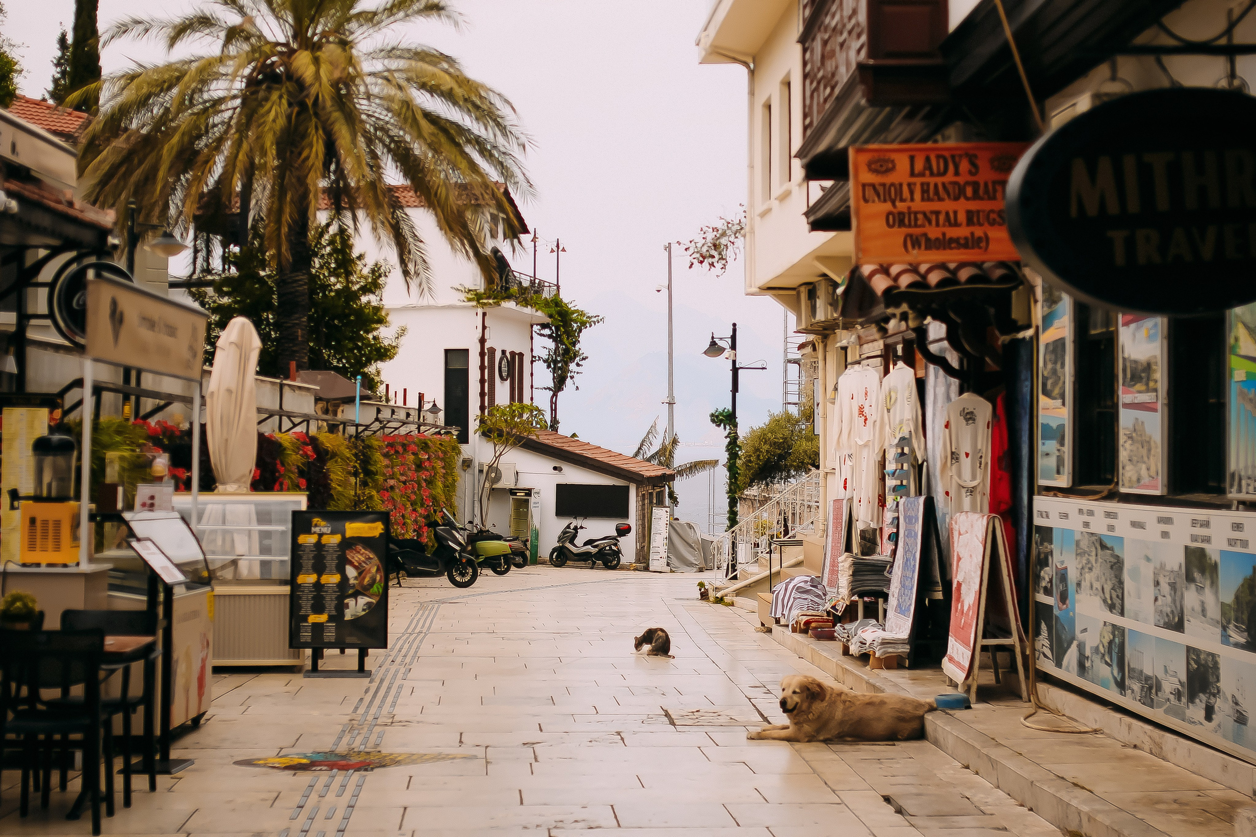 Sunny. Детский и семейный фотограф Малых Ольга г. Салехард