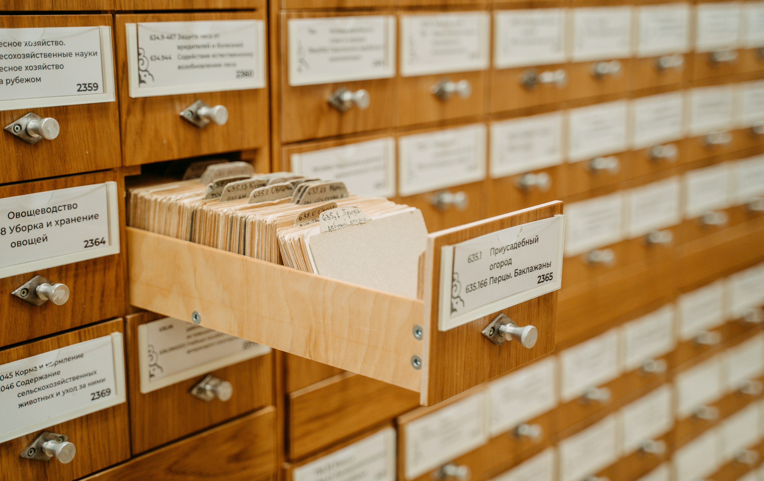 IGS: 12 лет компании / 2023. Саша Копылов, фотограф в Казани