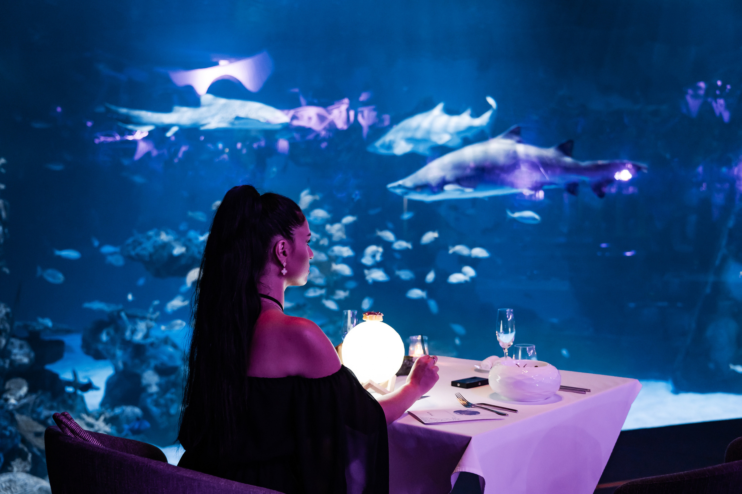 Ресторан SuVaNa. Свадебный и Репортажный фотограф в Москве — Шестак Константин