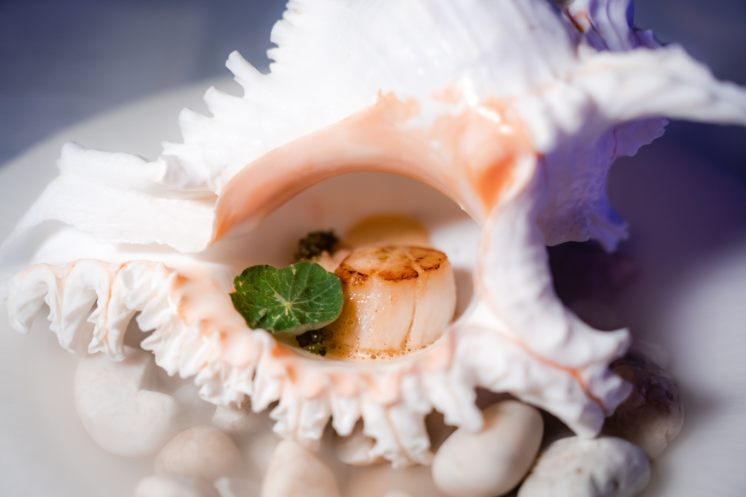 Ресторан SuVaNa. Свадебный и Репортажный фотограф в Москве — Шестак Константин