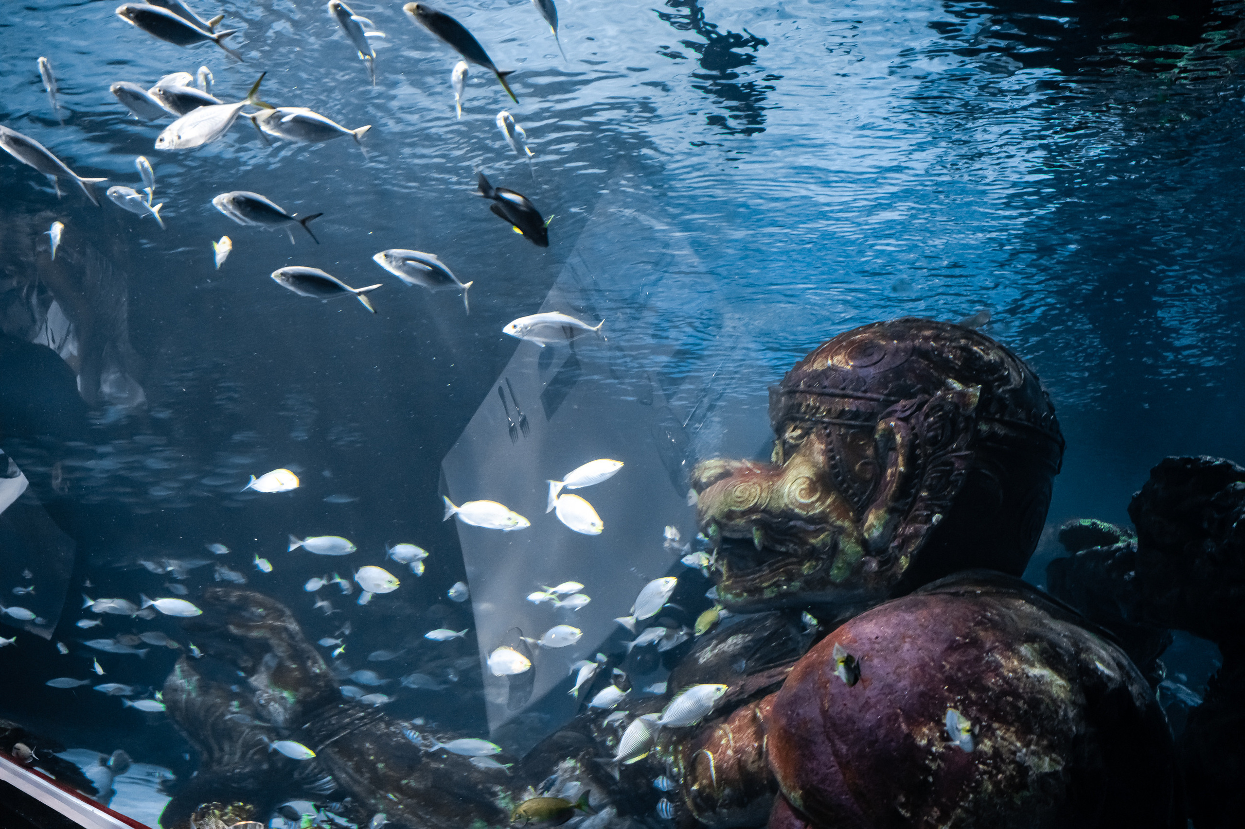 Ресторан SuVaNa. Свадебный и Репортажный фотограф в Москве — Шестак Константин