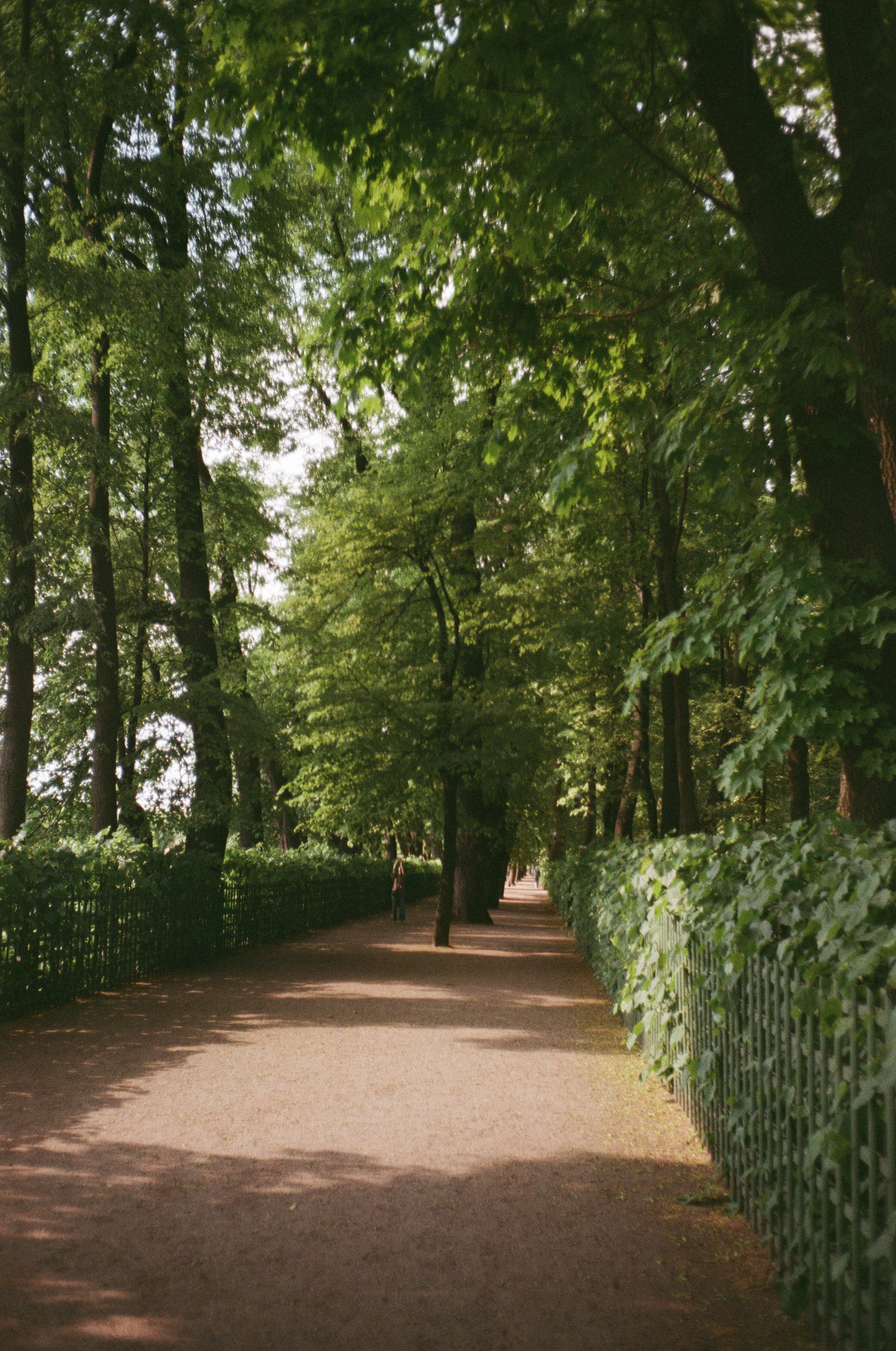 Прогулка по Питеру после отраслевой конференции / Minox 35GT