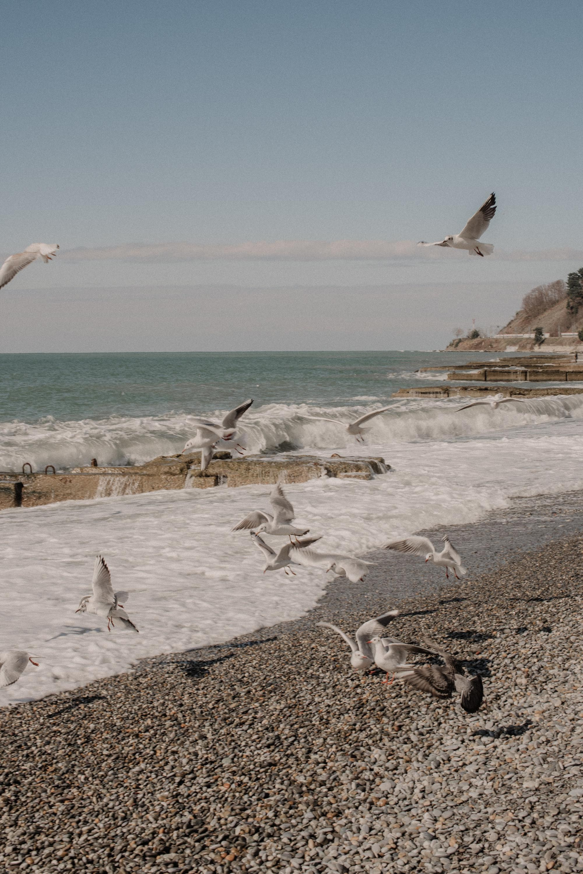 Любить в Сочи. Свадебный фотограф в Москве Юлия Лисой