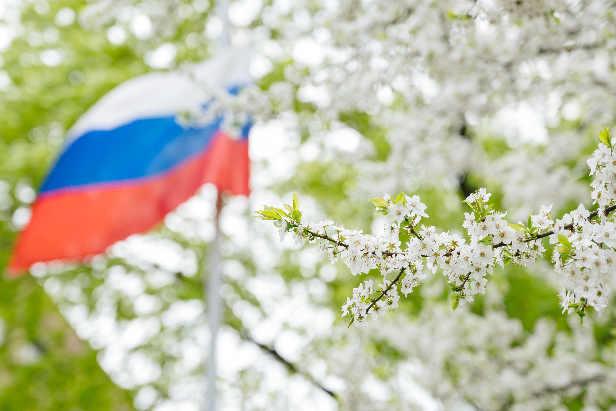 Даниил Сергеев: репортажный фотограф