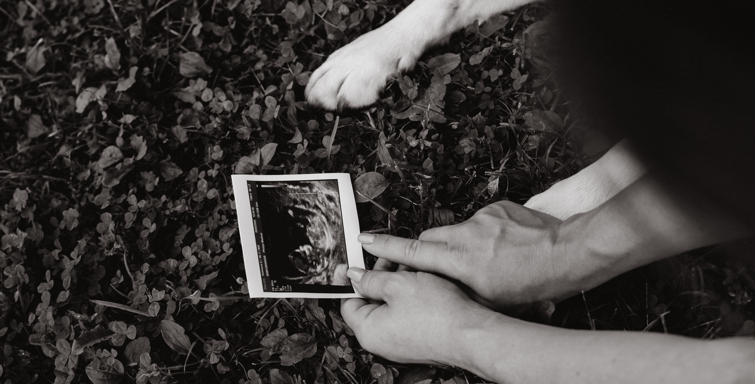 В ожидании нового члена семьи. Семейный, ньюборн фотограф, фотограф на роды в Москве, Виктория Тюльдюкова