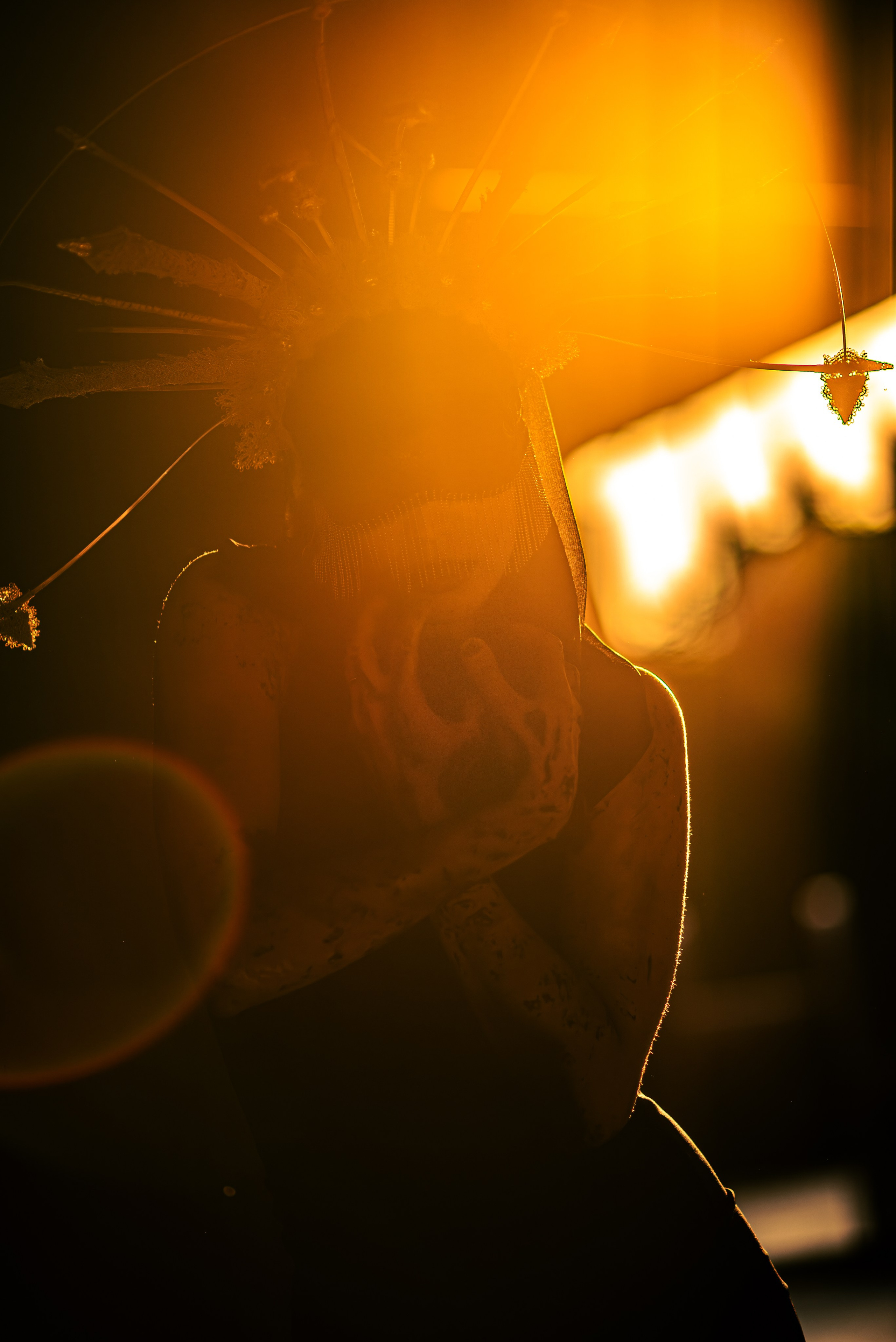 Paris | Summer. Bekagaev photography