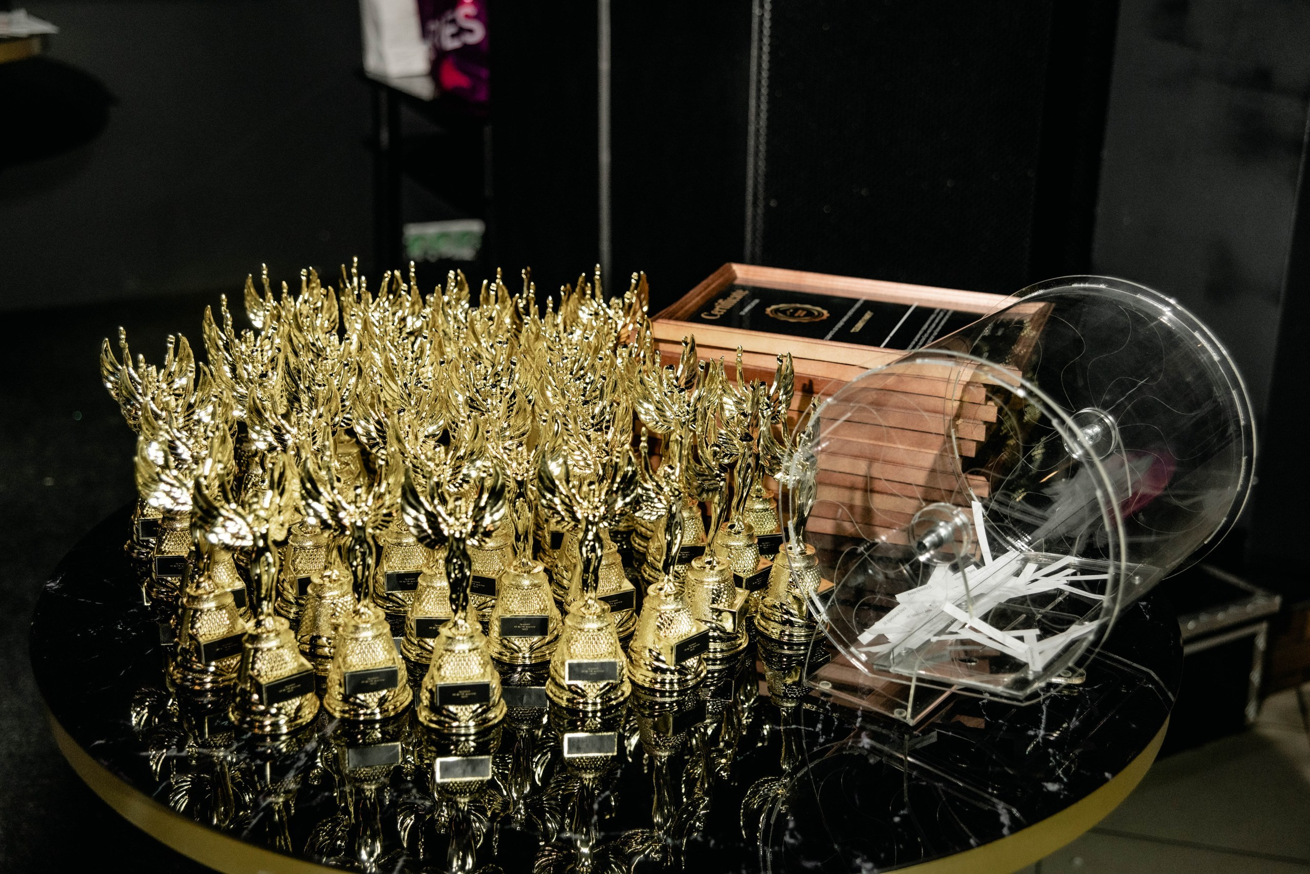 CELEBRITY PARTY. Фотограф в Саратове и Энгельсе — Склярова Дарья