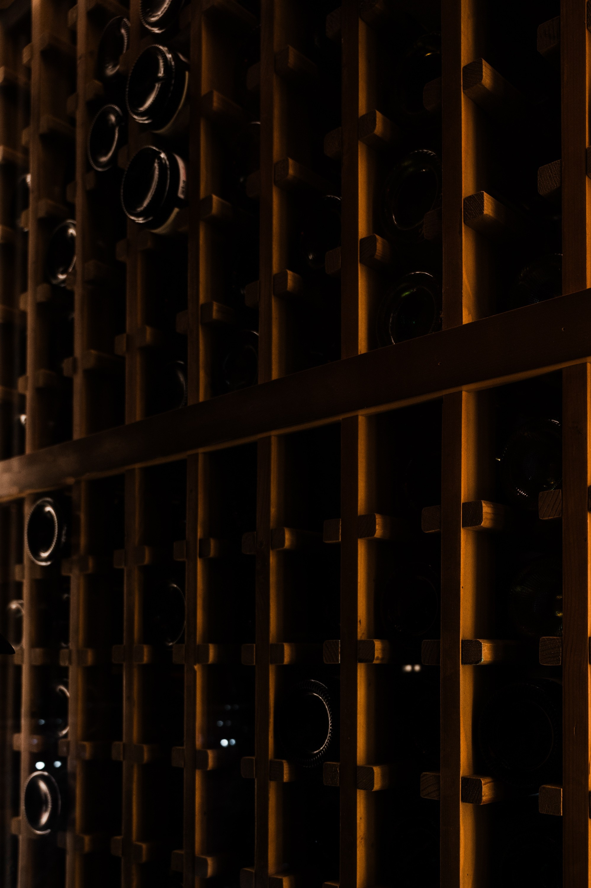 Репортажный фотограф на корпоратив и другие мероприятия. Свадебный и семейный фотограф в Краснодаре Марина Стёпа