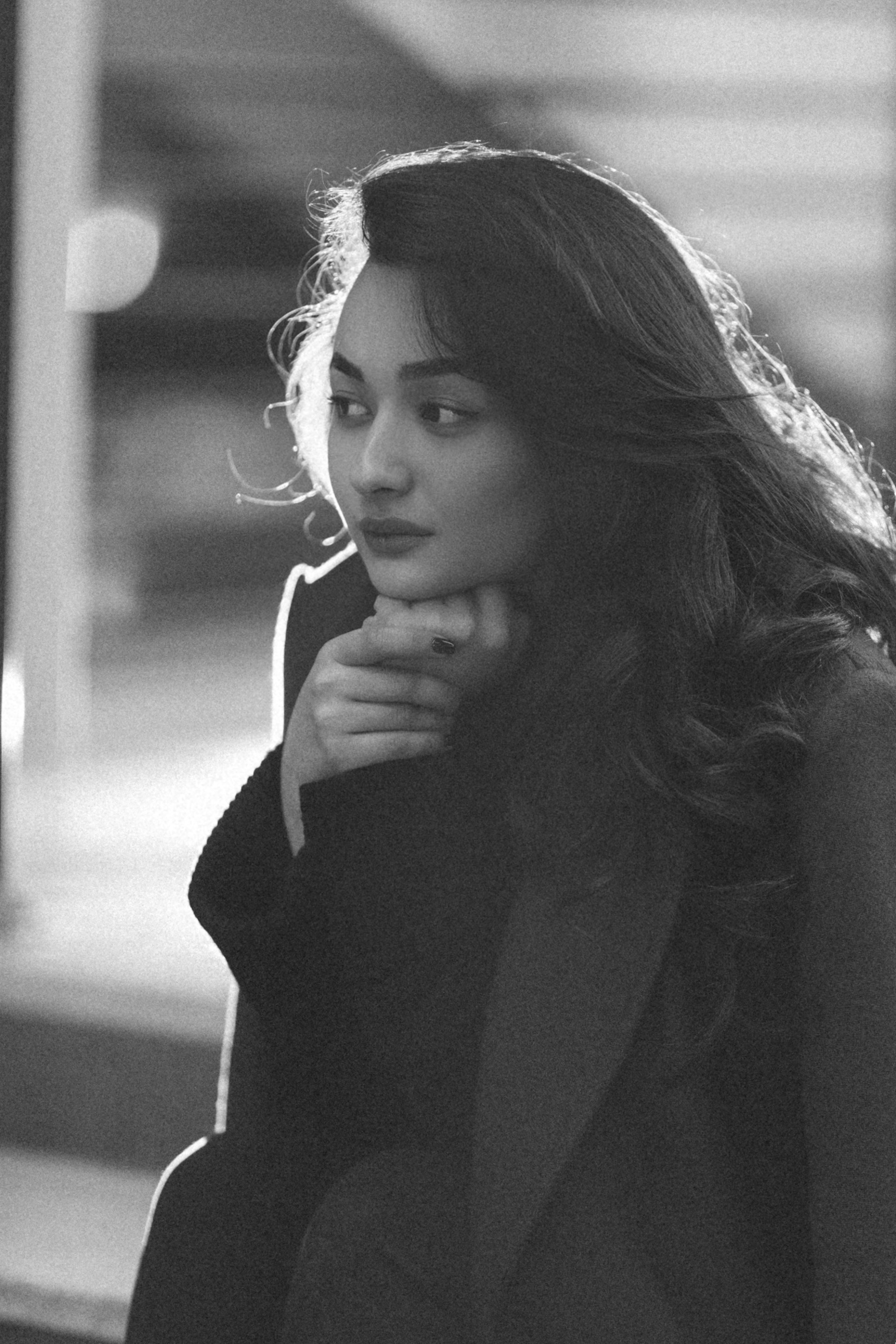 Daniza. Главная