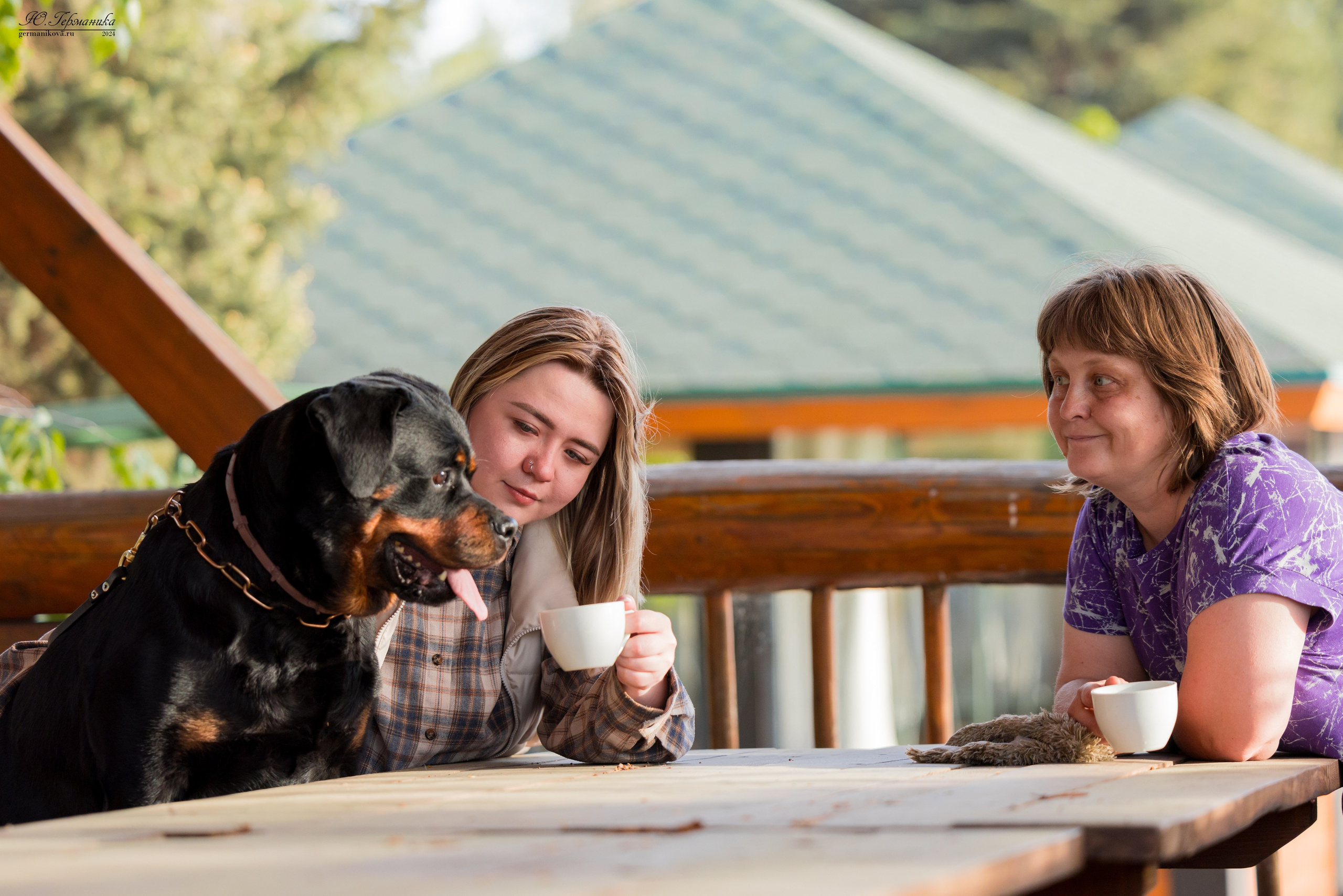 Саратов 2 х моно ротвейлеров 28-29.04.2024. Фотограф-анималист Юлия Германика