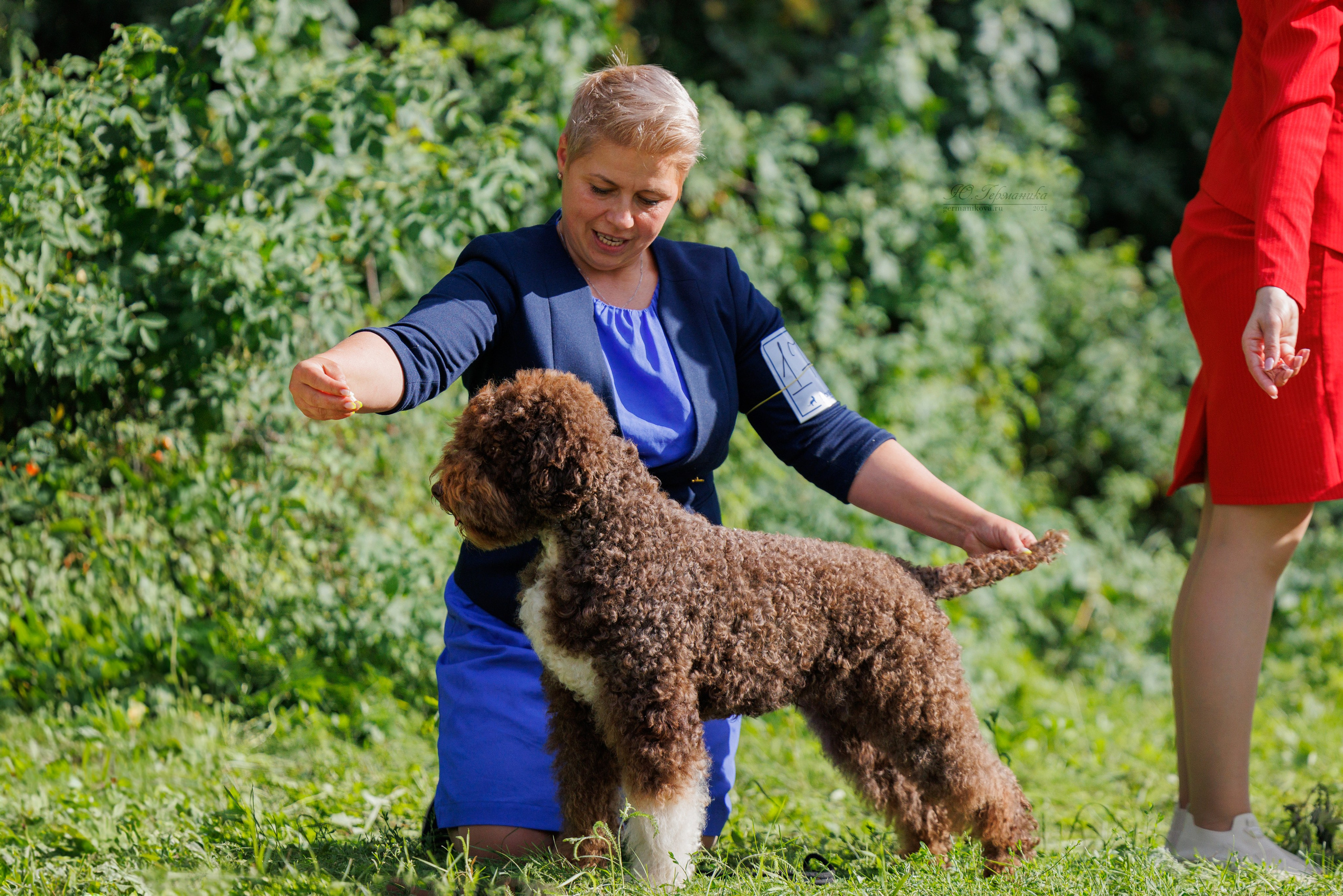 Астана 2хCACIB 17-18.08.2024. Фотограф-анималист Юлия Германика