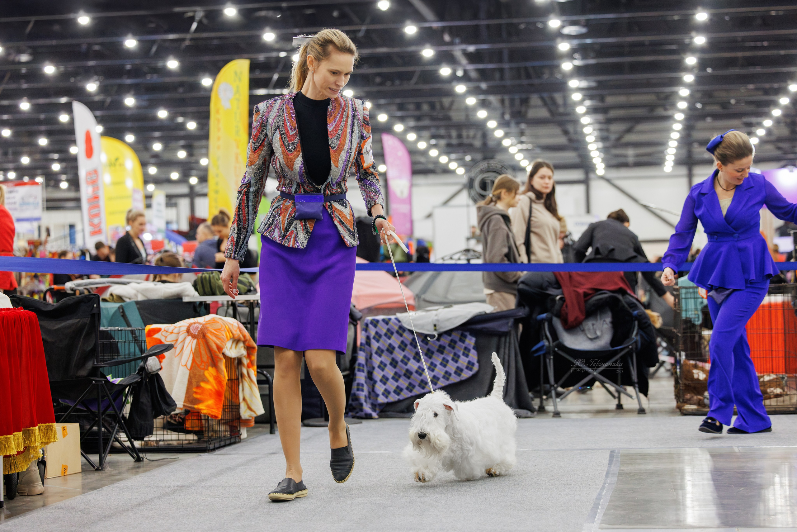 Питер 12-13.12.2025. Фотограф-анималист Юлия Германика