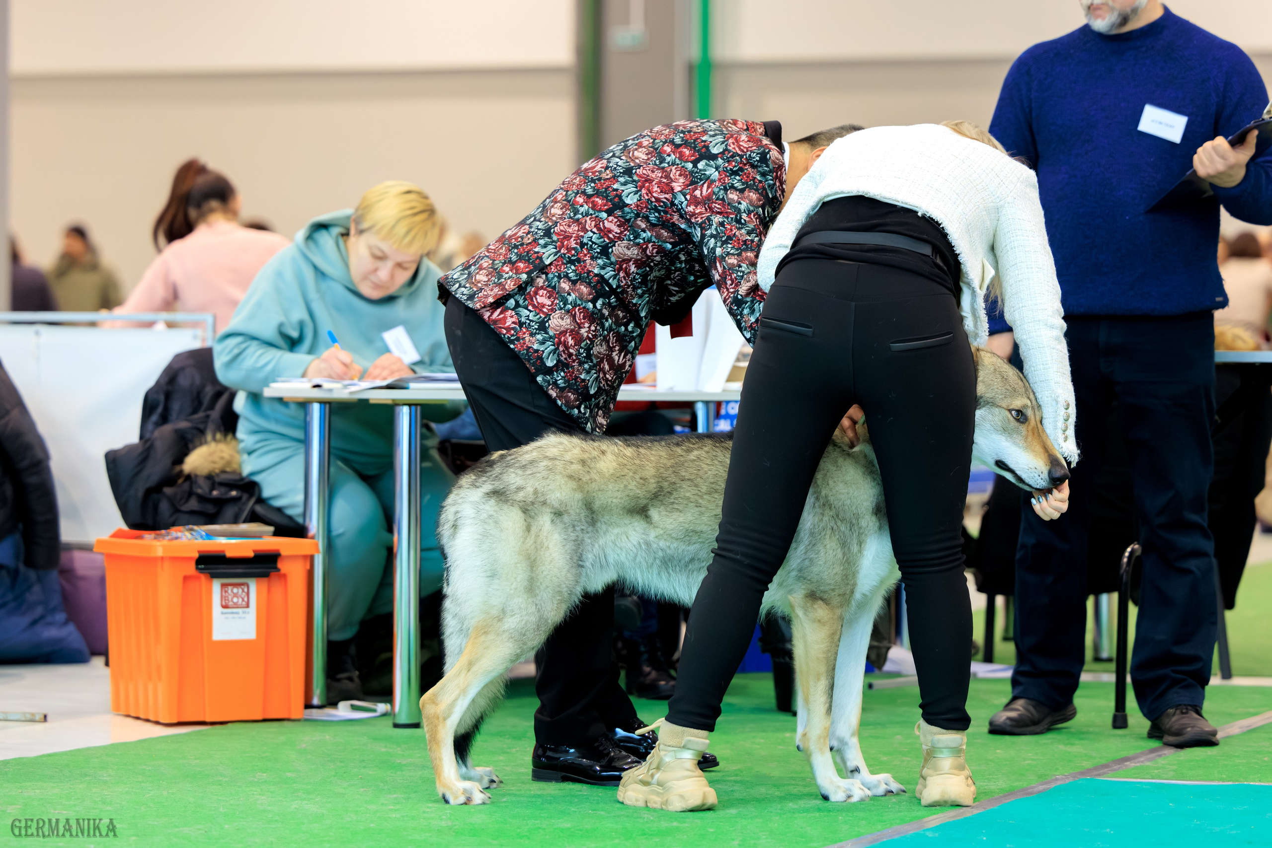 Минск 24-25.02.2024. Фотограф-анималист Юлия Германика