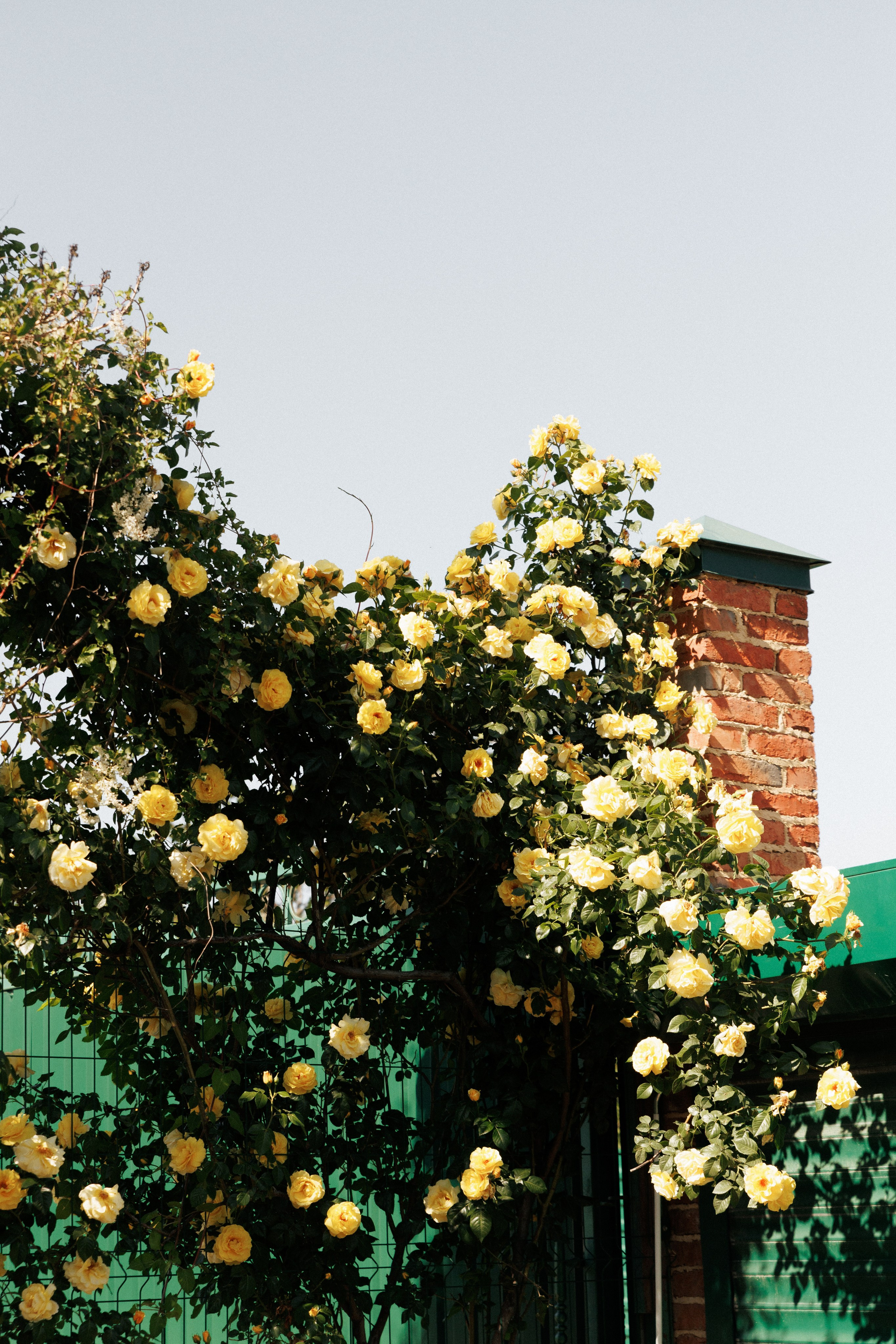 Андрей и Вика. Фотограф и Видеограф в Ростове на Дону