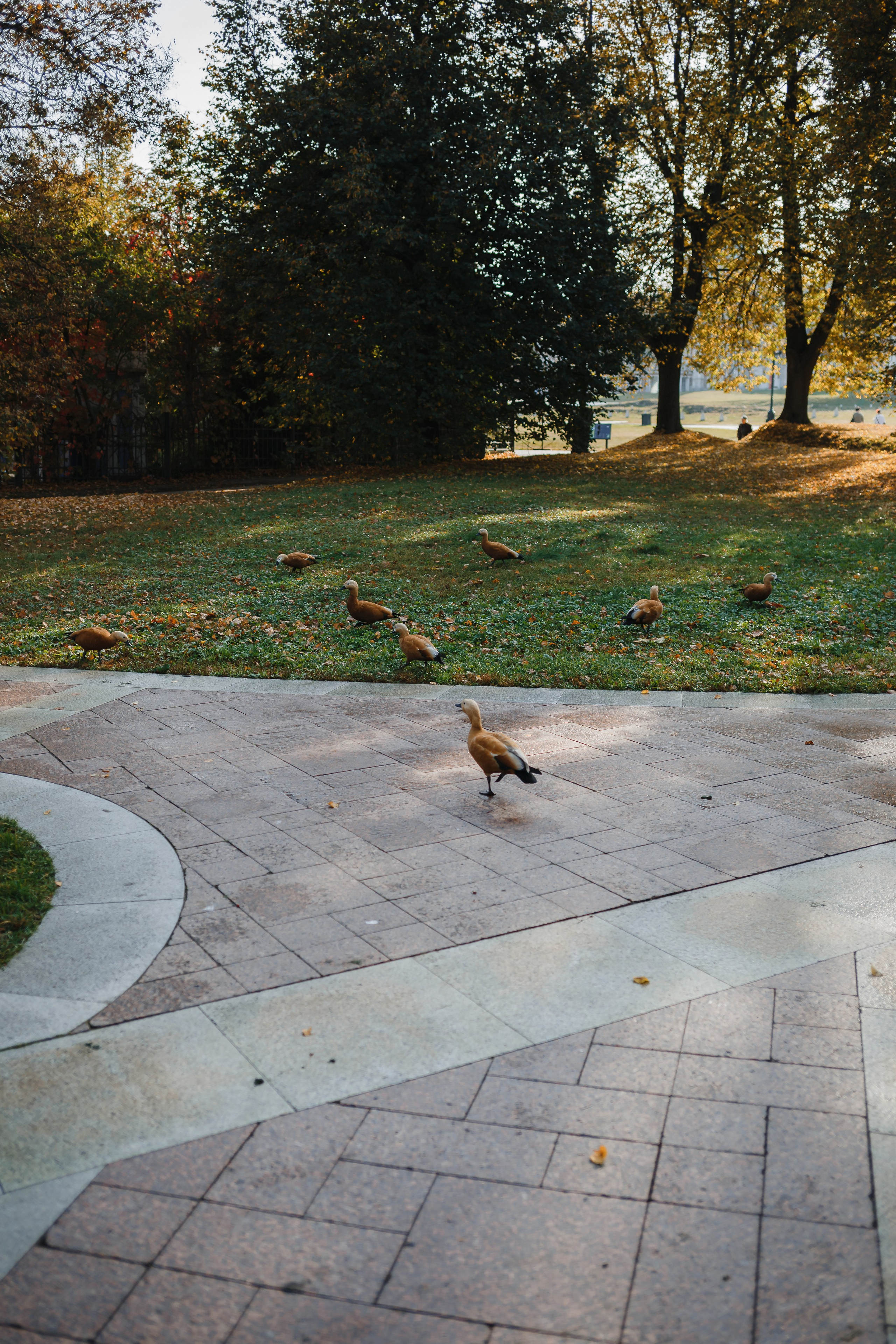 Женя, Таня, Алиса, Вероника. Семейный фотограф Николаева Ольга