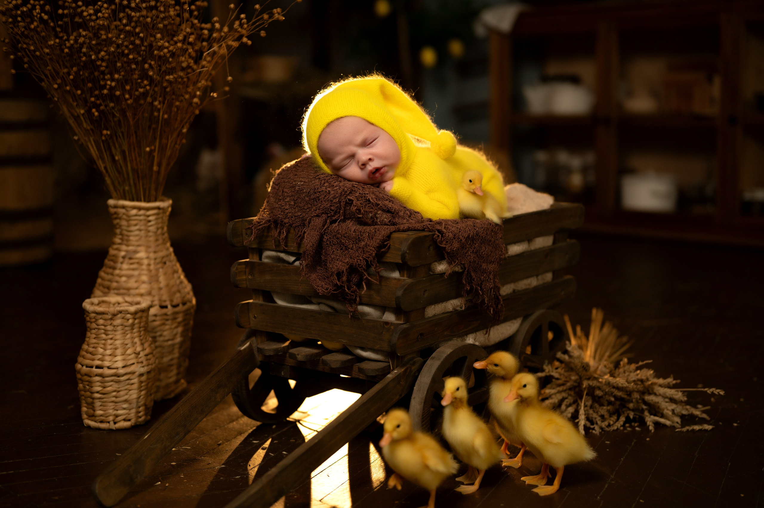 Павлуша и утята. Фотограф новорожденных, семейный детский в Тюмени Татьяна Морозова