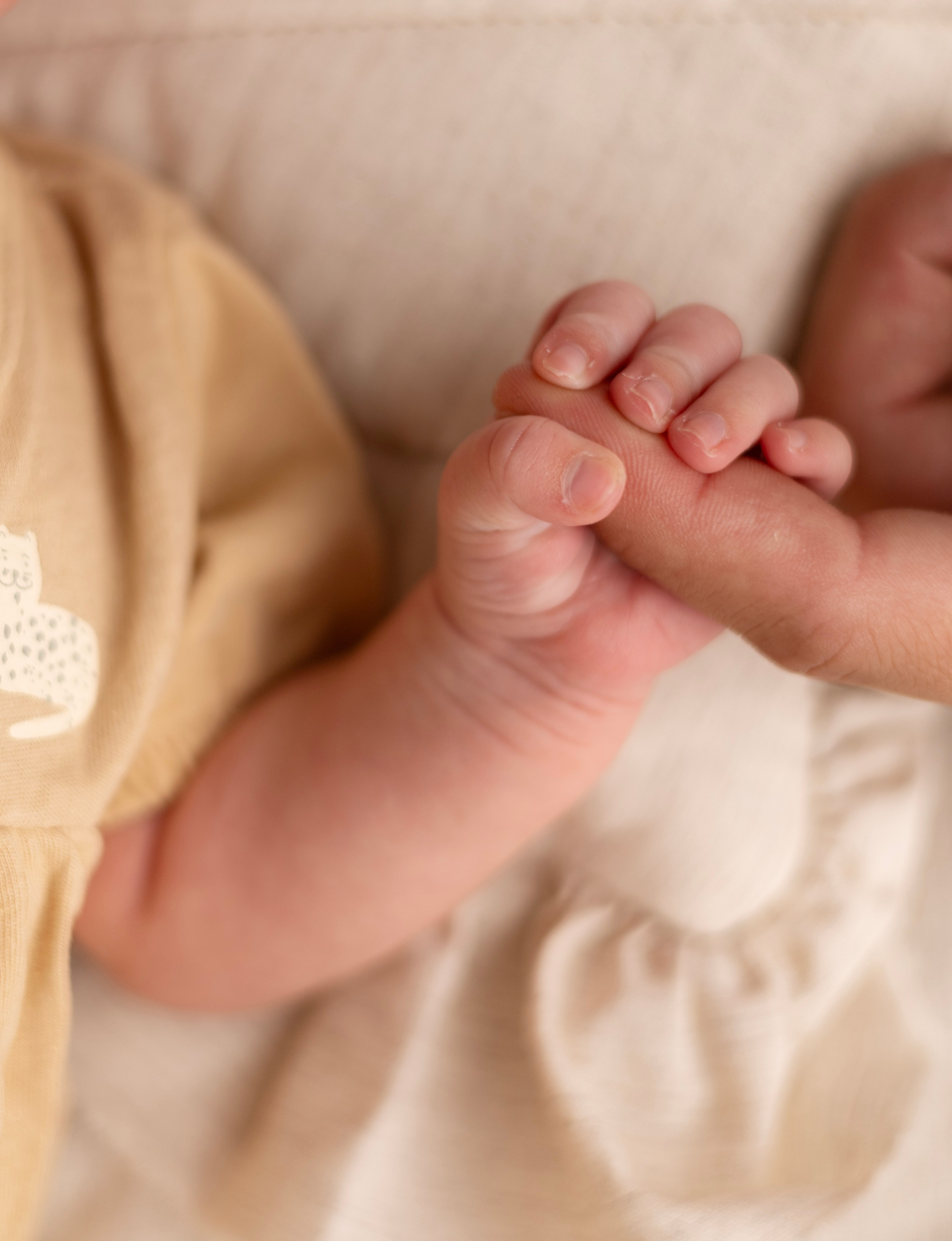 Элиана лайфстайл. Детский новорождённых и детей постарше Анисимова Полина