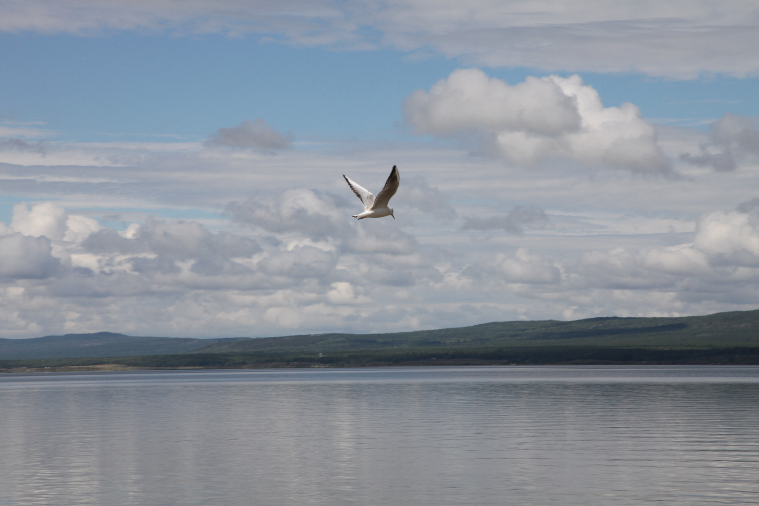 Фото Природы Забайкалья. Студия Максима Белослюдцева