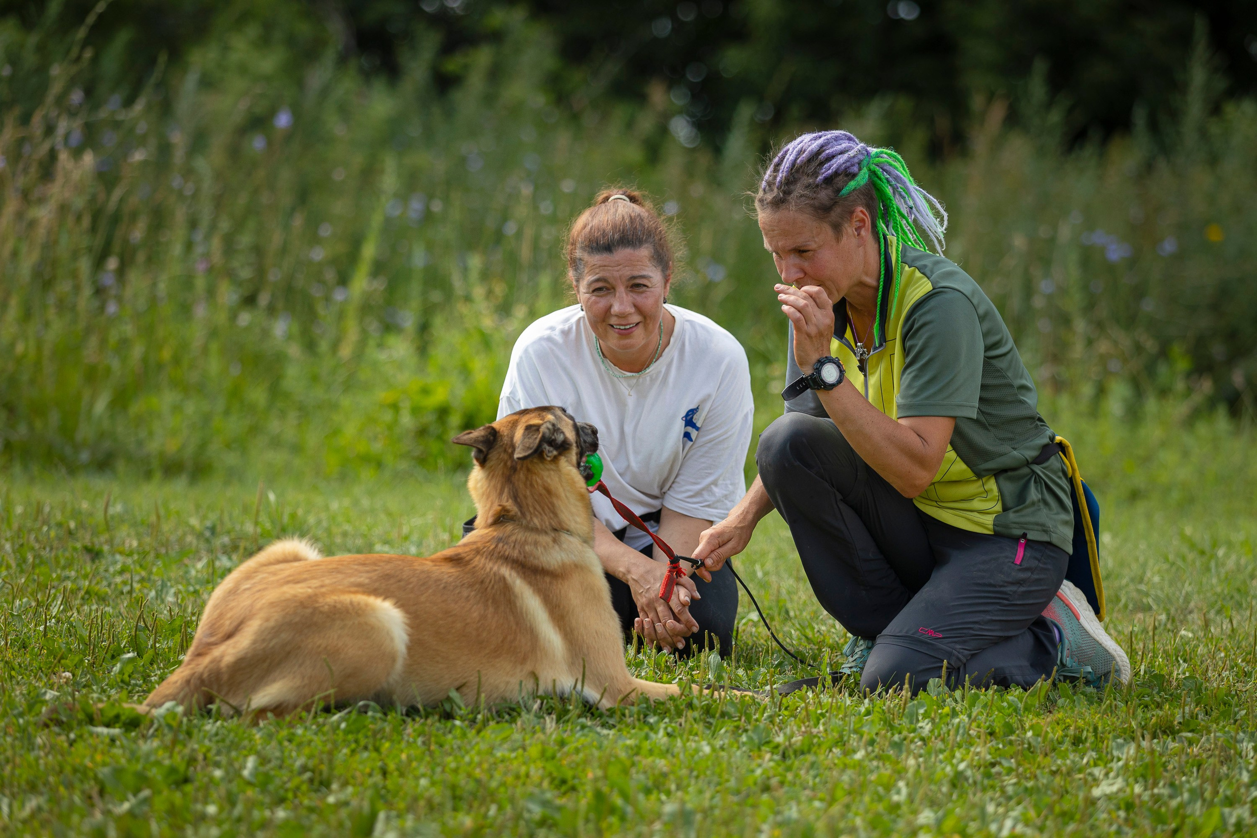ЗКС. Фотограф анималист, семейный фотограф, фотограф собак Комратова Мария. г. Москва