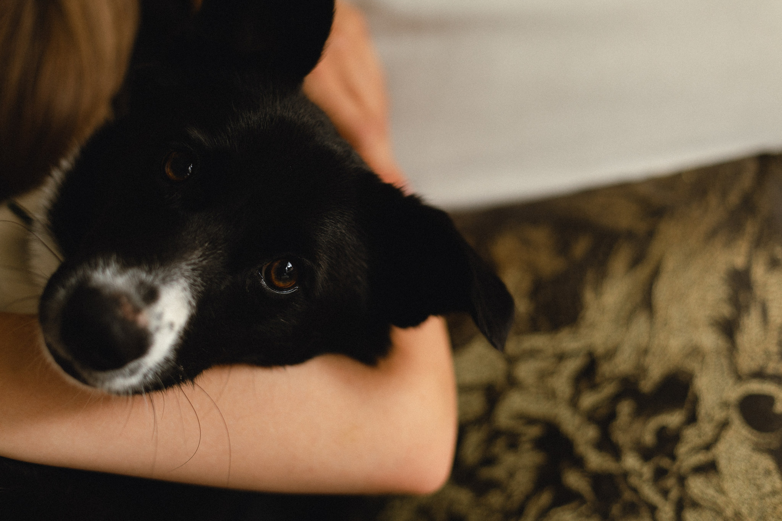 Лимонное настроение. Фотограф в Краснодаре и Краснодарском Крае