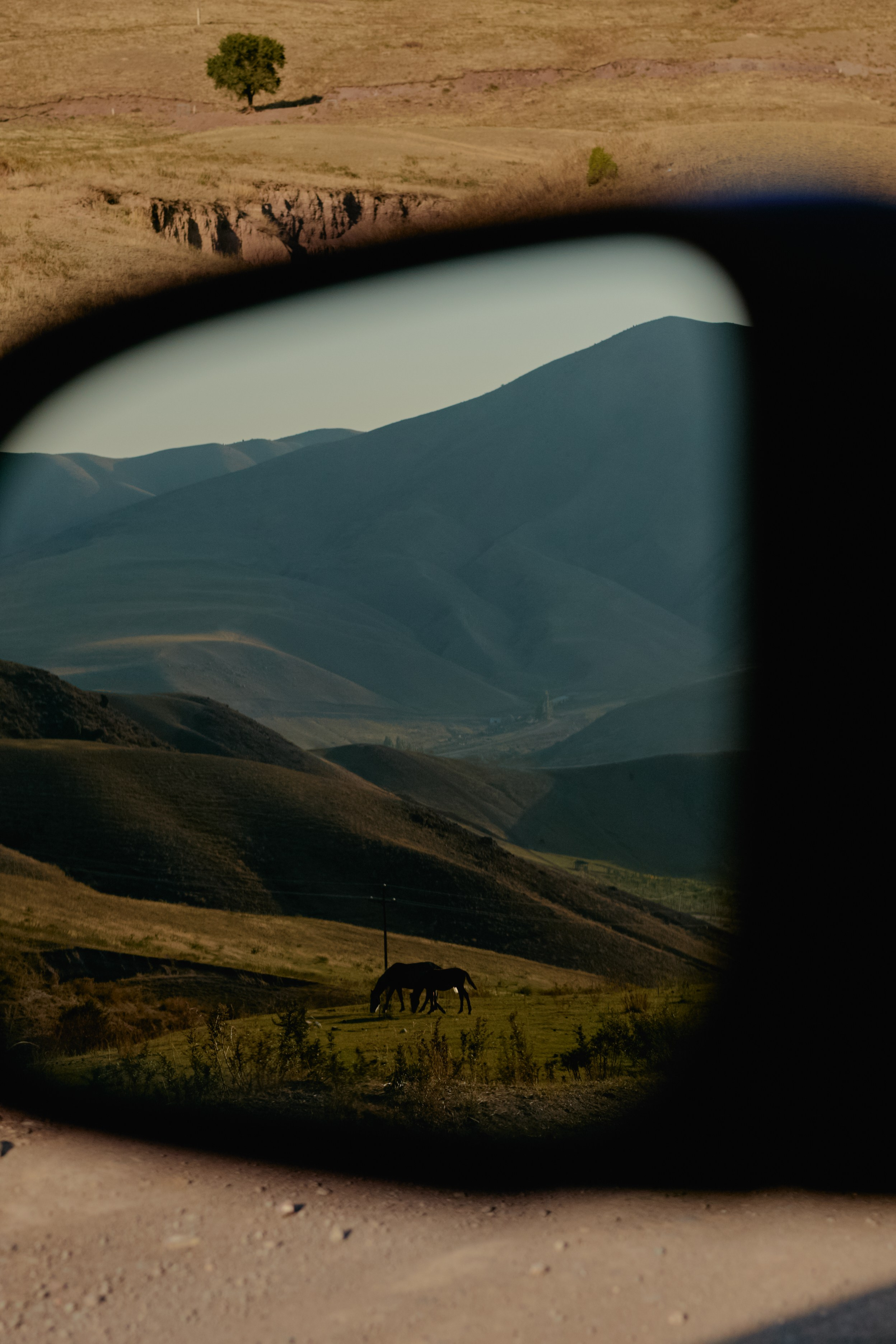 Кыргызтан. Профессиональный Фотограф во Владимире, в Москве и в Суздале — Полина Романычева