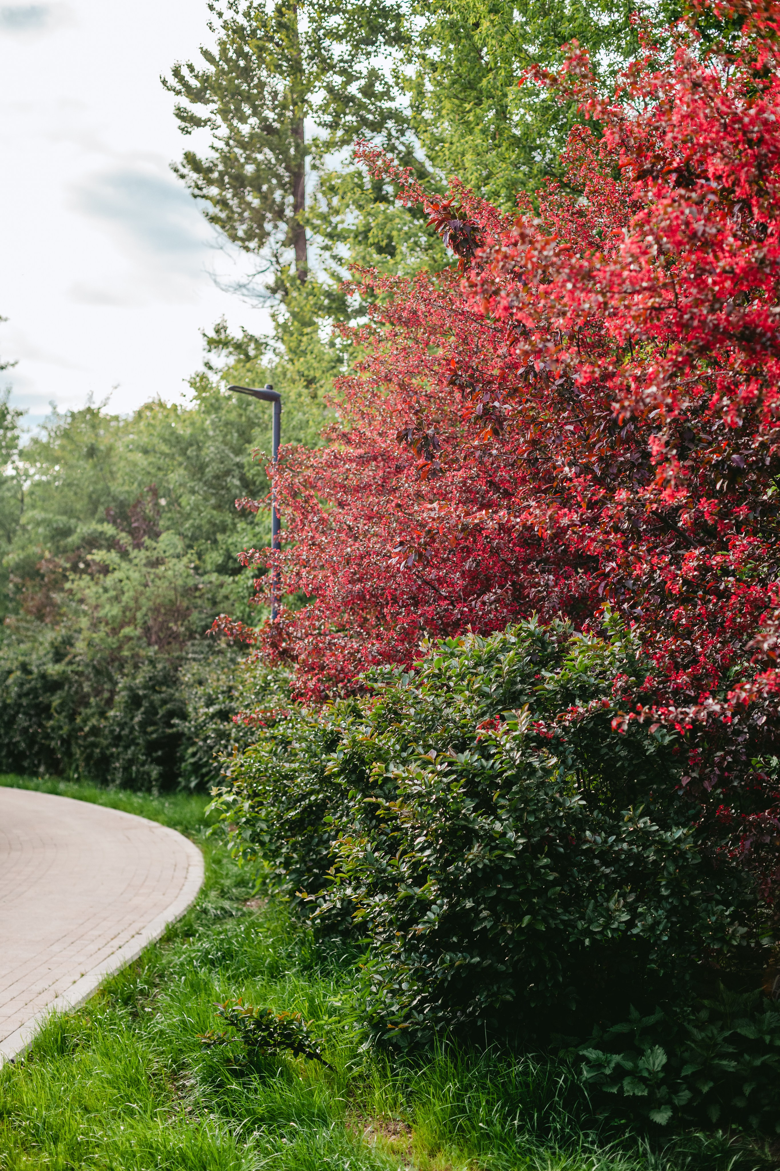 Семейная экспресс фотосессия в рамках фотодня. Фотограф-анималист Татьяна Степанова