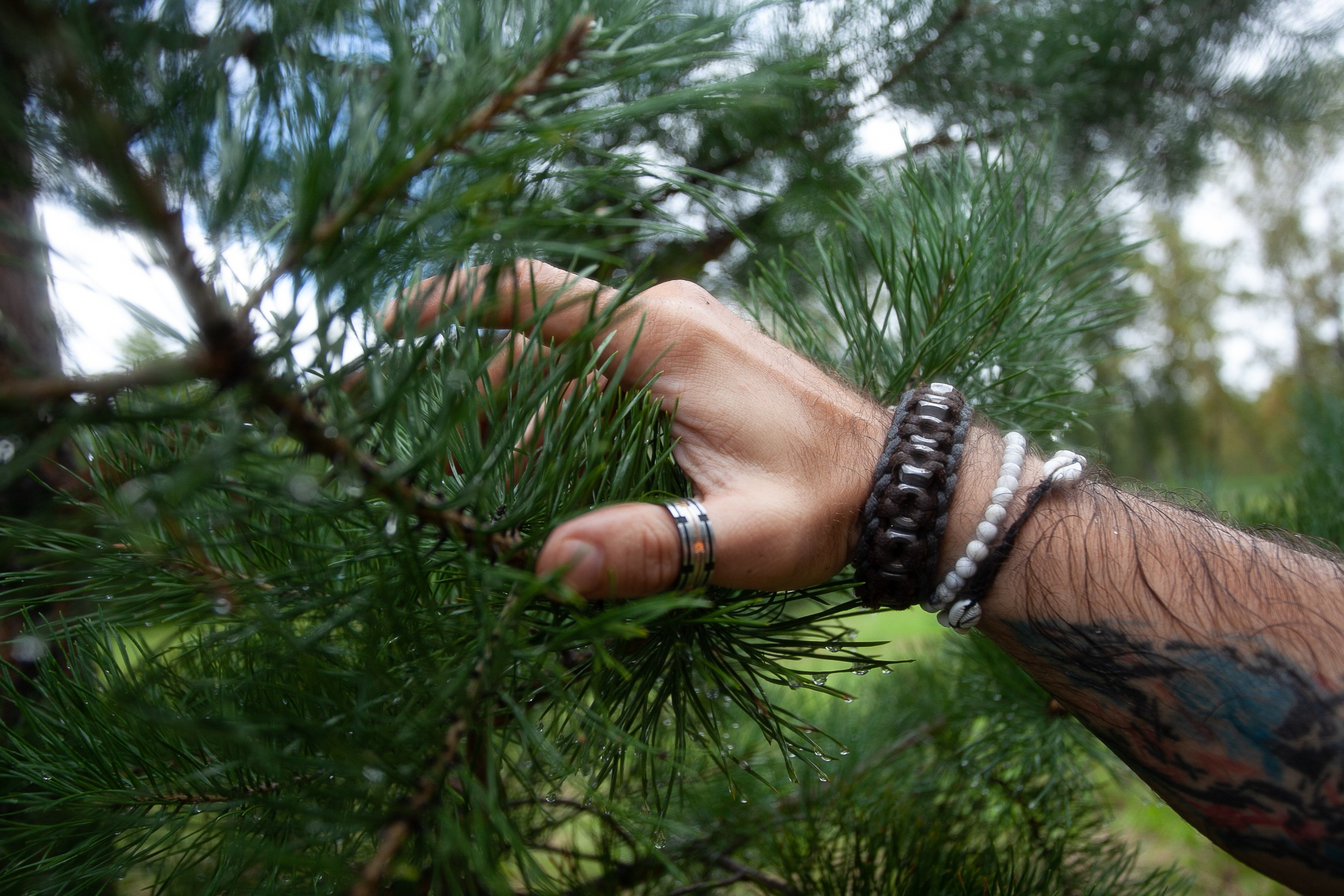 Лесной троль. Фотограф Дарья Локотко в Красноярске