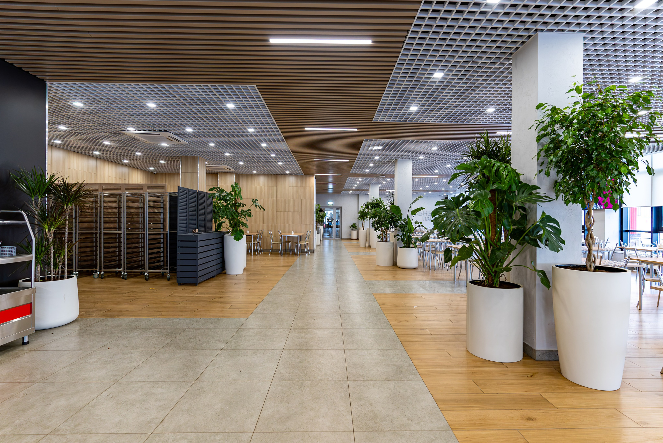 Индустриальный парк — озеленение. KUSTOV PRODUCTION — профессиональная фотосъёмка в Москве