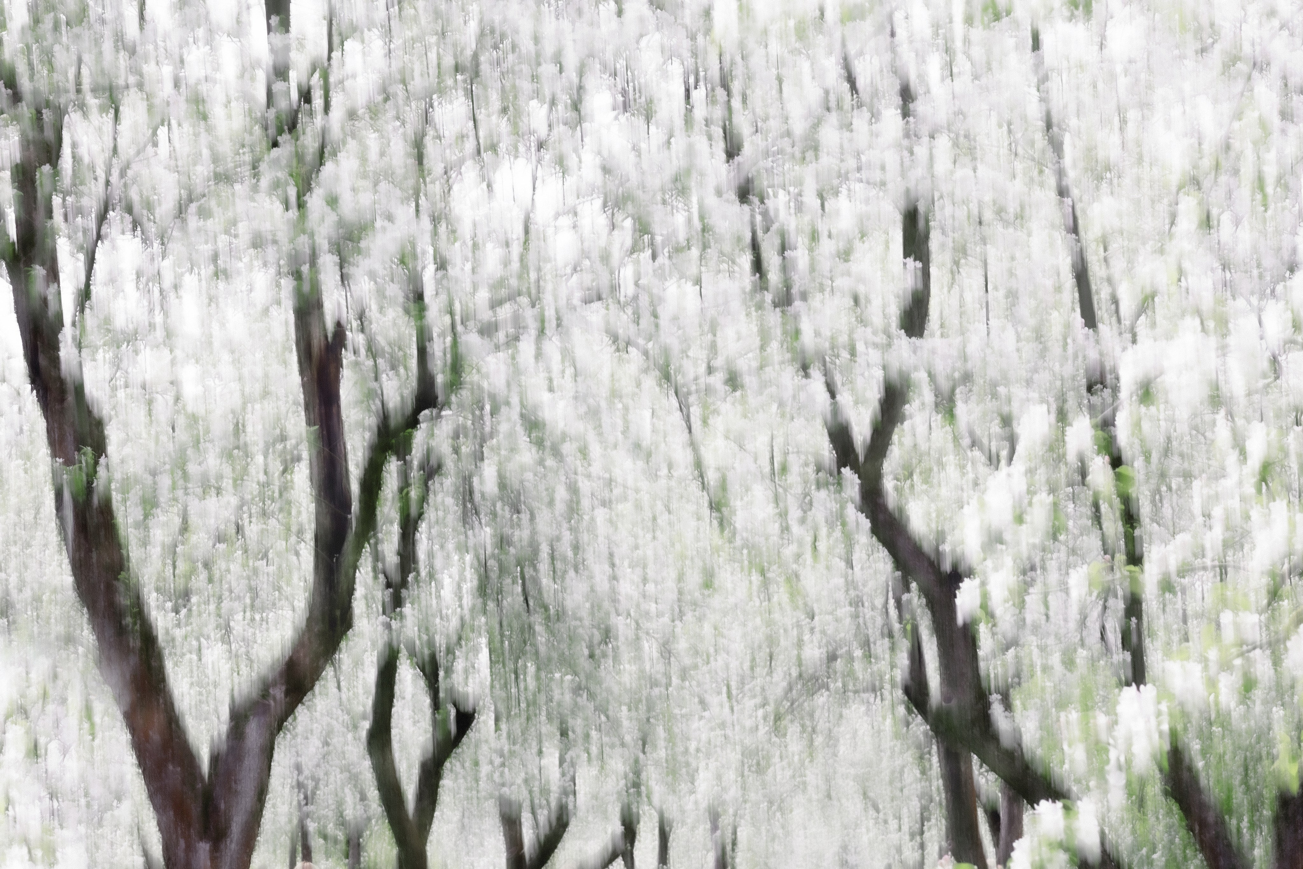 Фотоимпрессионизм. Фотограф Ольга Дунаева