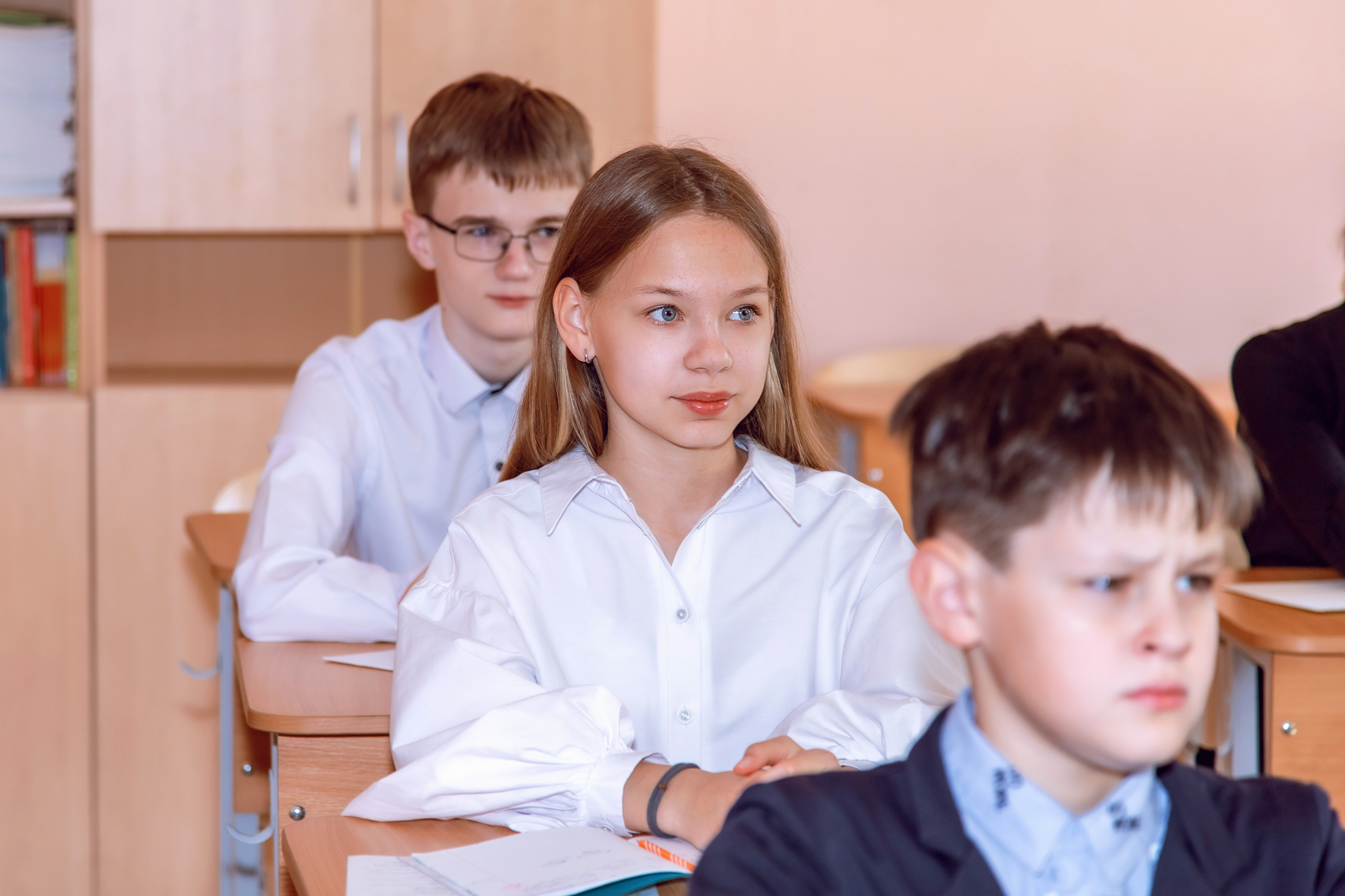 СТАРШИЕ КЛАССЫ. Фотограф Алина Лебедь