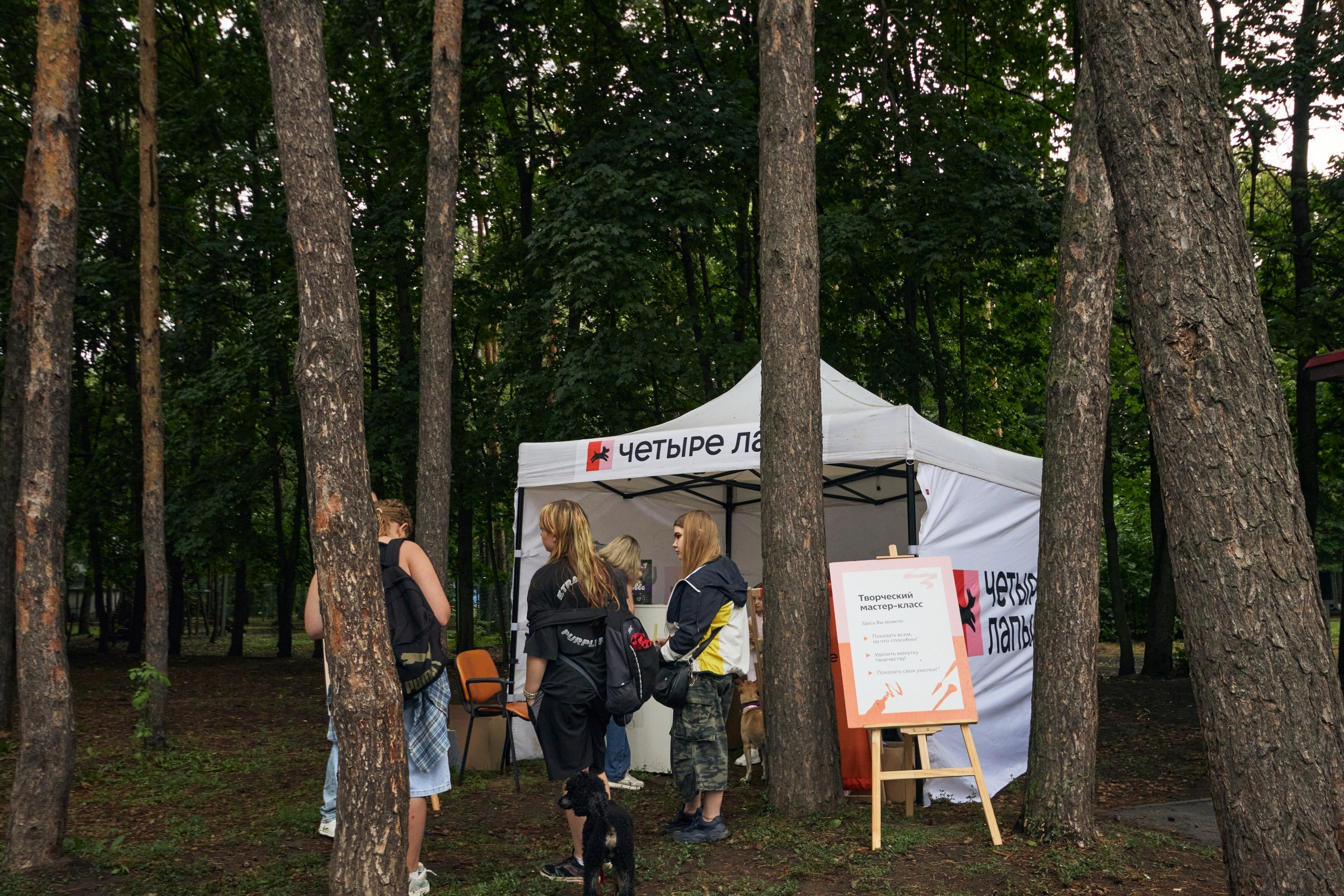 Четыре Лапы. Свадебный и репортажный фотограф Дмитрий Кононенко