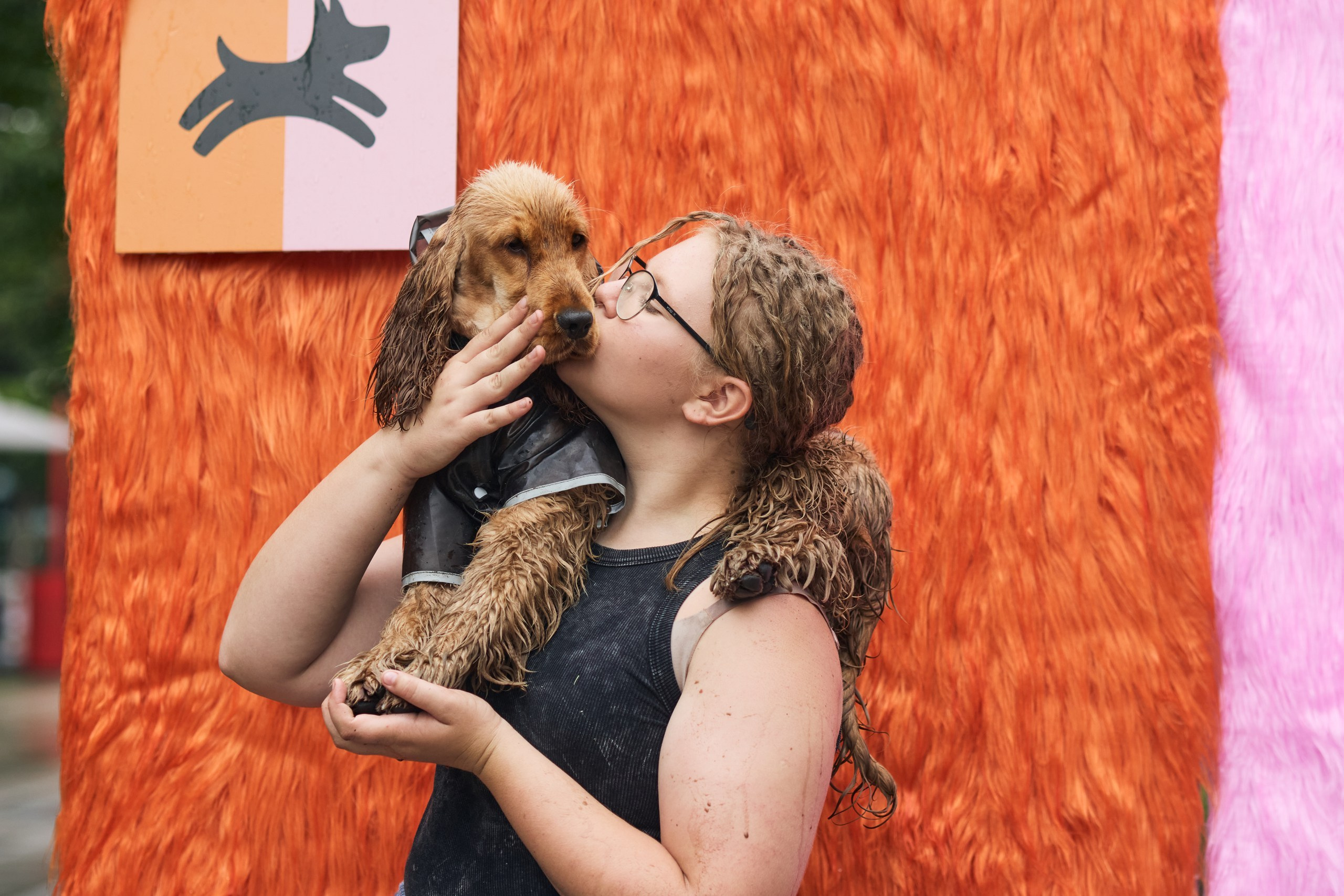 Четыре Лапы. Свадебный и репортажный фотограф Дмитрий Кононенко