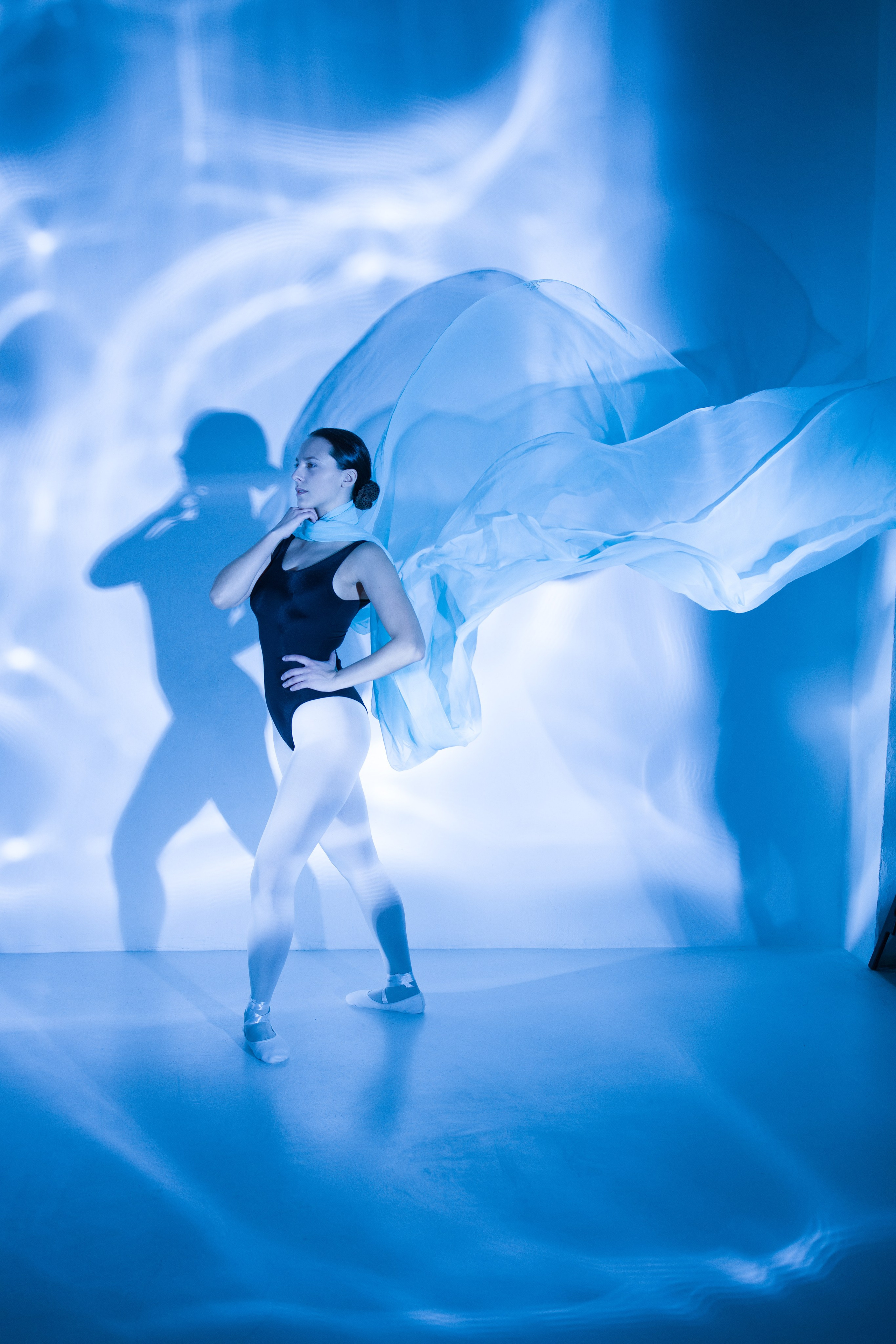 Лилия. Художественная фотография