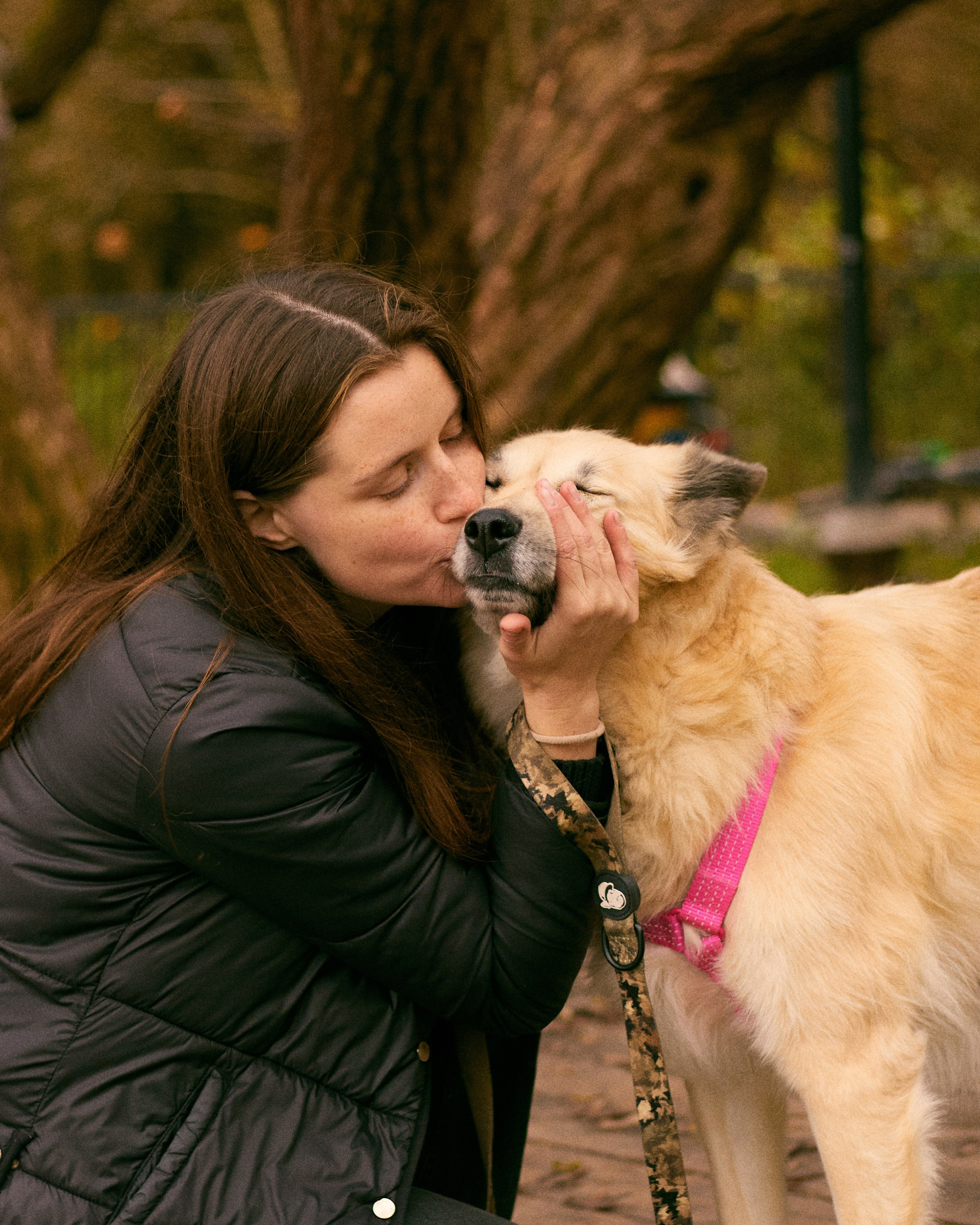 С животными. Главная