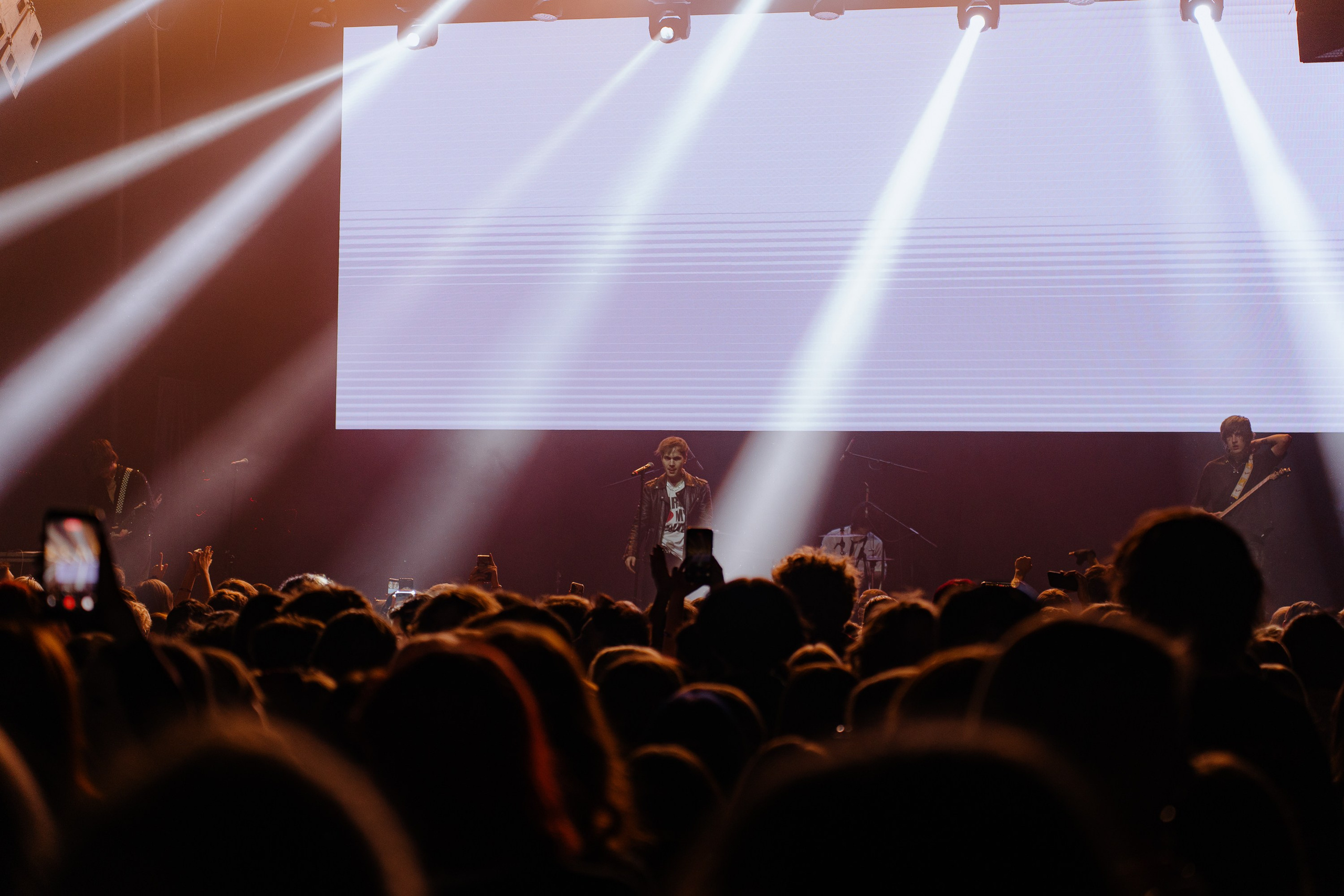 Molly Fest. Base. 20.02.2026. Главная