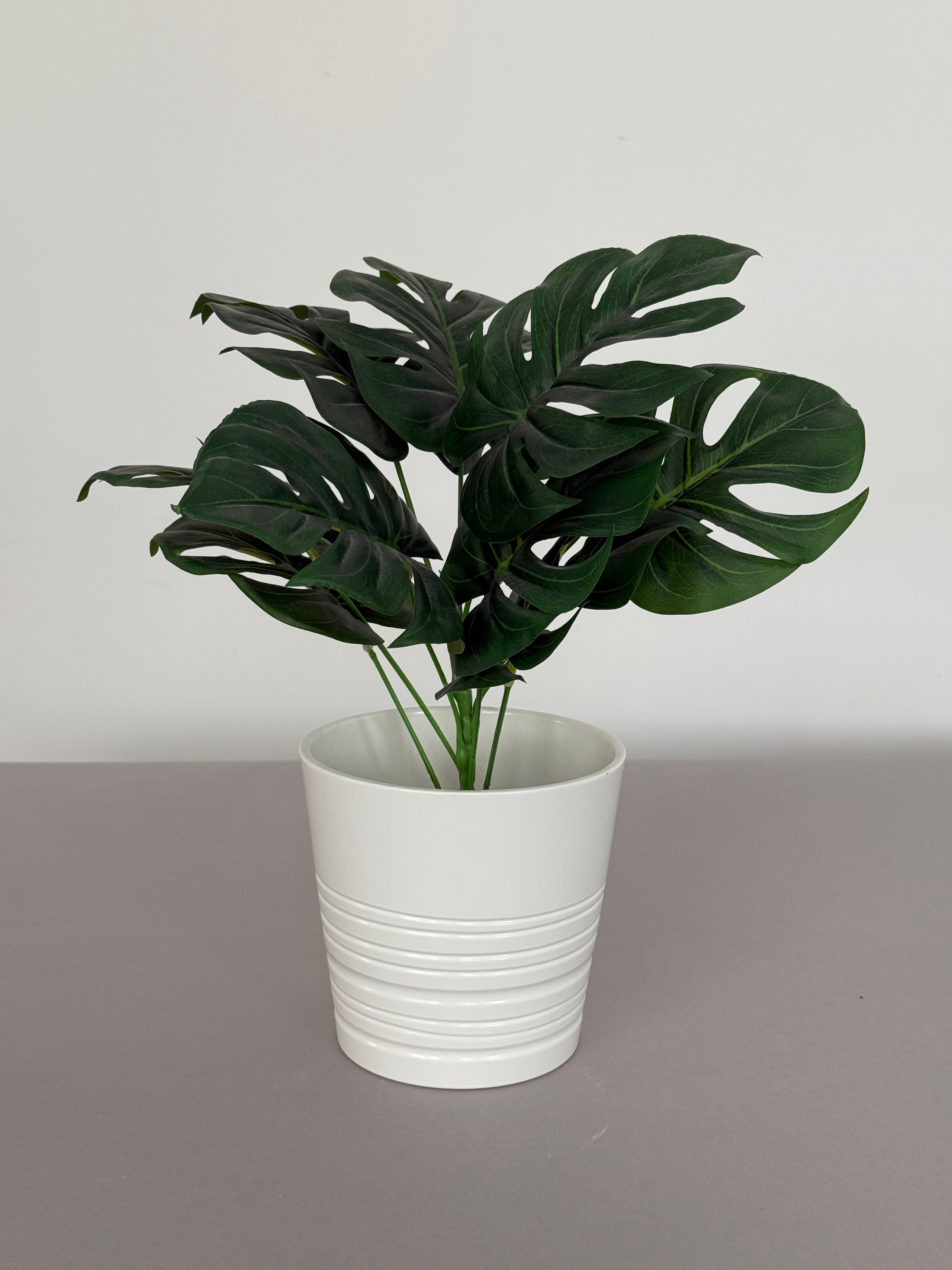 Вазы и цветы. Фотостудия Новочебоксарск