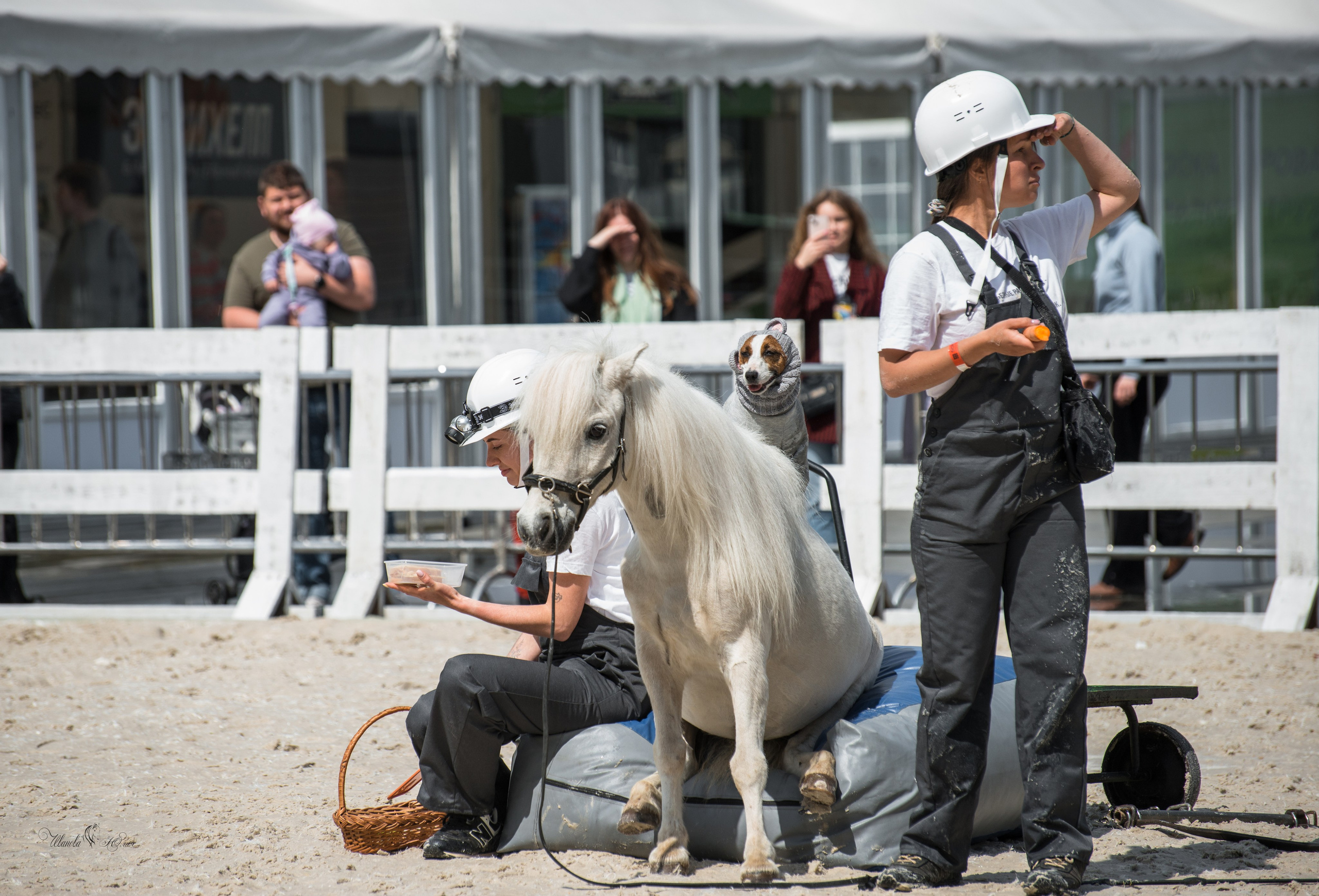 Эквирос, Москва. Конный фотограф в Саратове Юлия Иванова