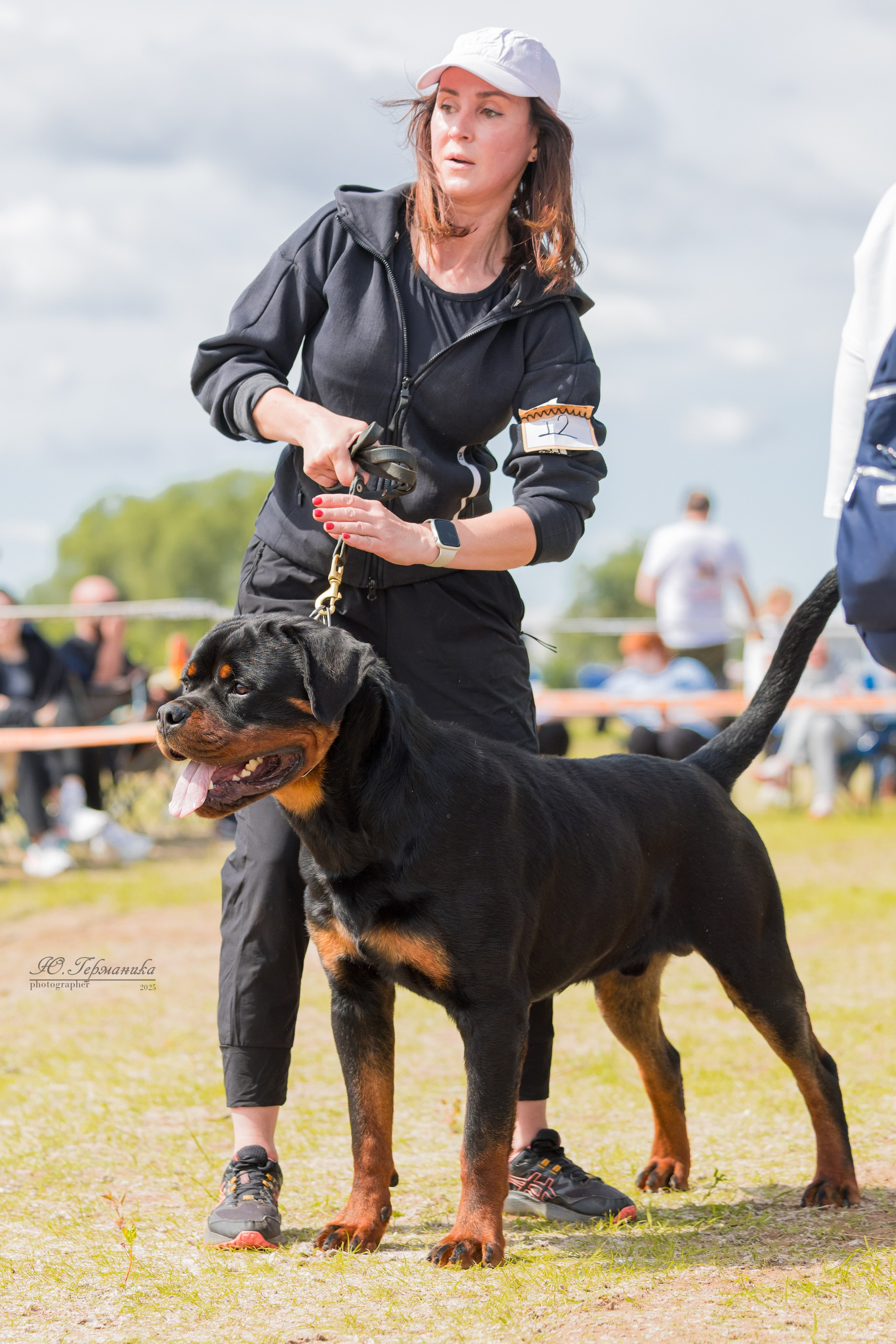 Тверь ротвейлеры 5-6.07.2025. Фотограф-анималист Юлия Германика