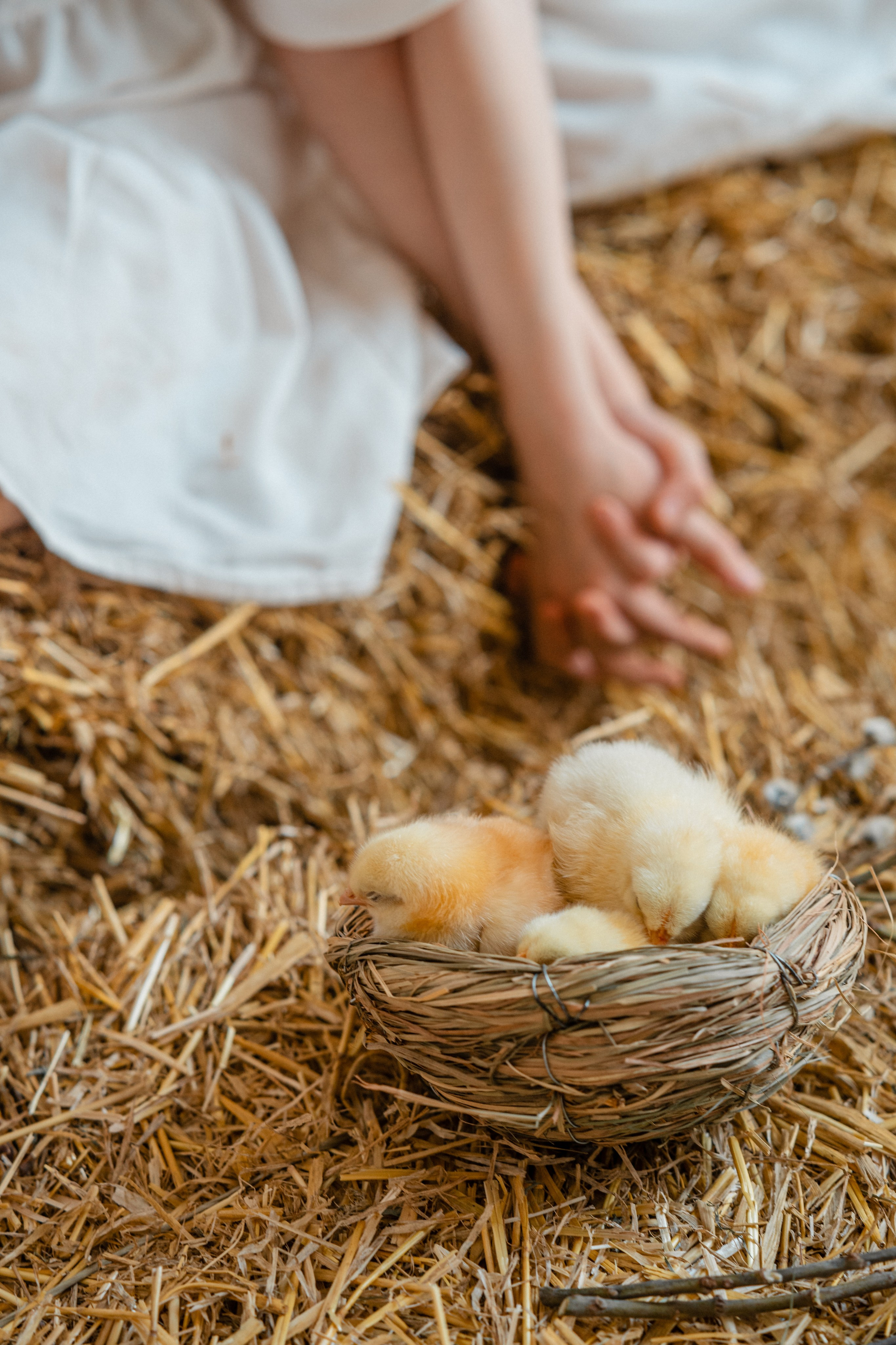 Студия. Фотограф Мария Зайчик