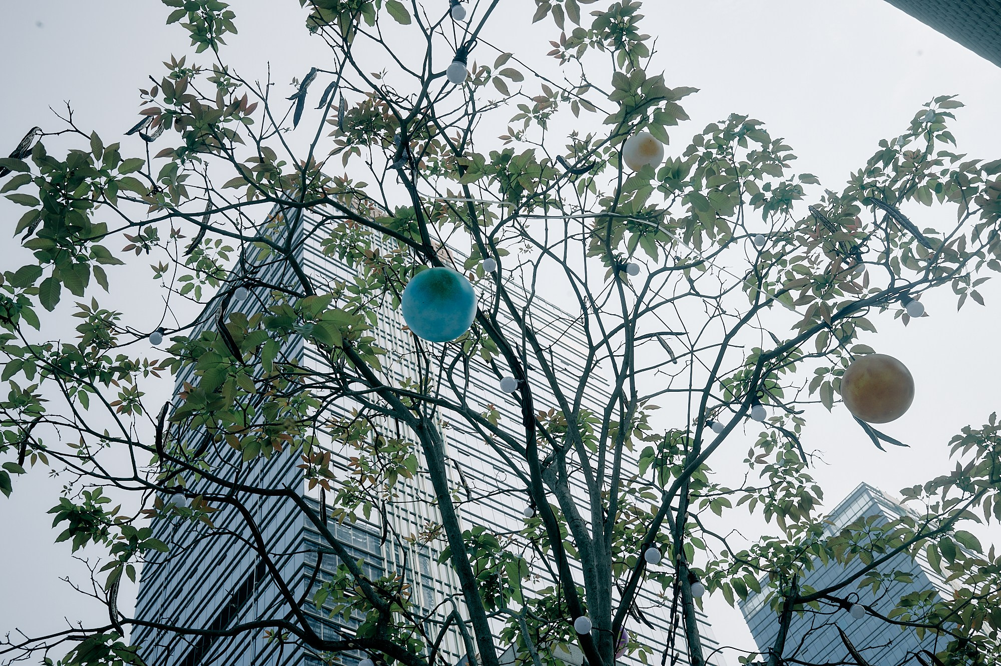 Шэньчжэнь, Китай. Март 2026. Фотографии отовсюду и обо всем