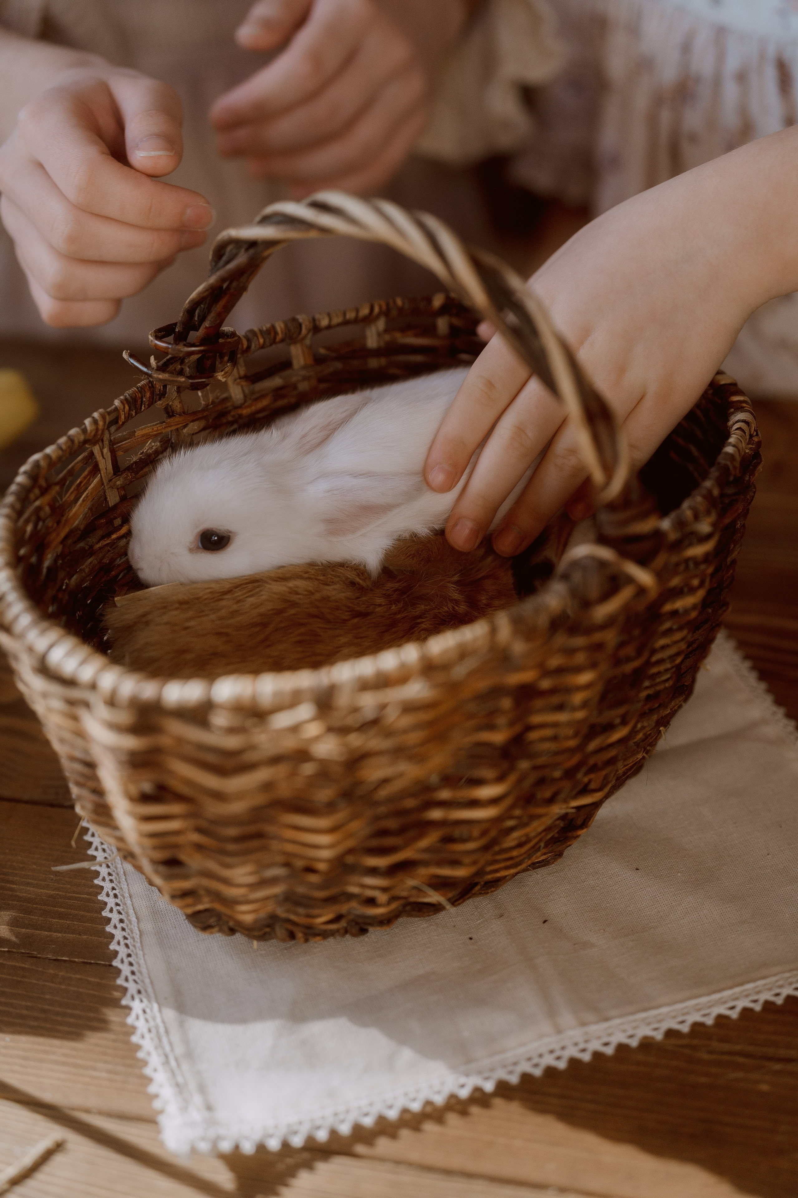 Нюша и Маша. Детская фотосессия Дом Элли г. Пушкино. Семейный и детский фотограф в Сергиев Посаде, Хотьково Якимчук Любовь