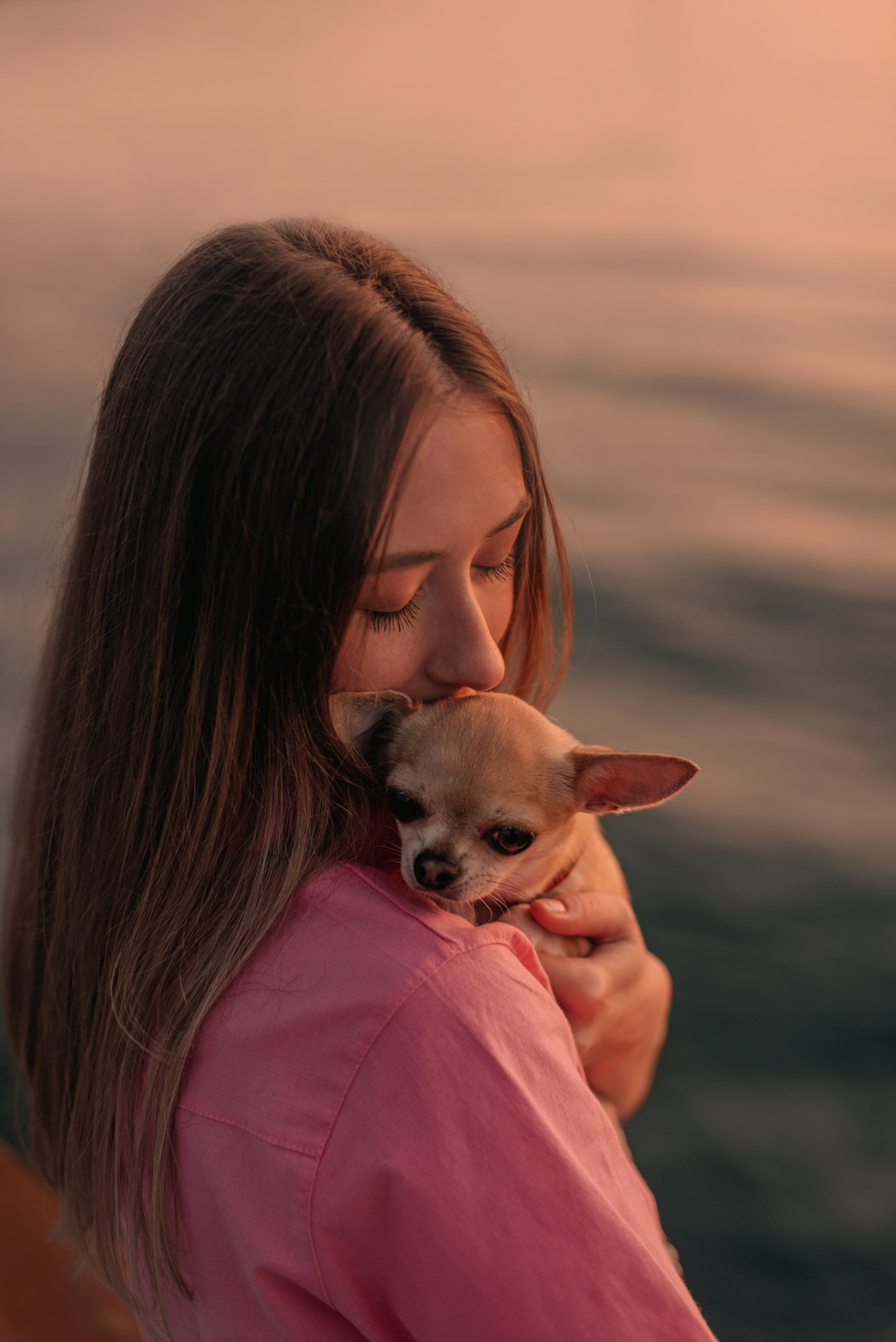 Прогулка: чихуахуа Хенни и Алина во Владивостоке. Портфолио