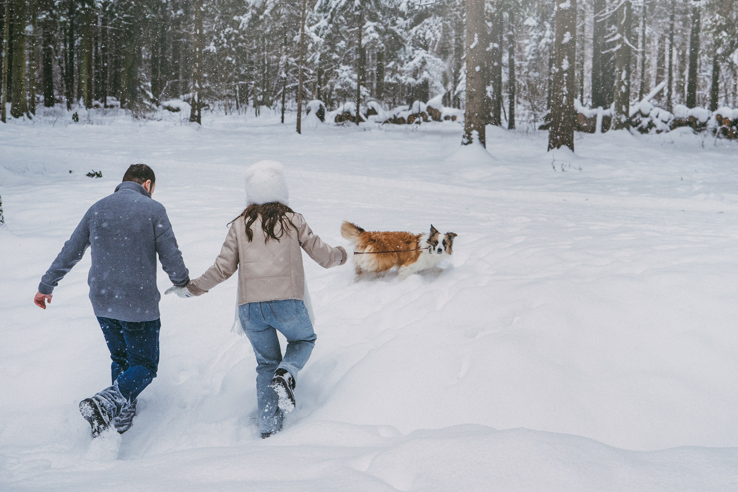 Катя, Анатолий и Елай. Фотограф анималист в Москве и Санкт-Петербурге Свиридова Анна